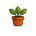 OnlyPlants  - Startseite