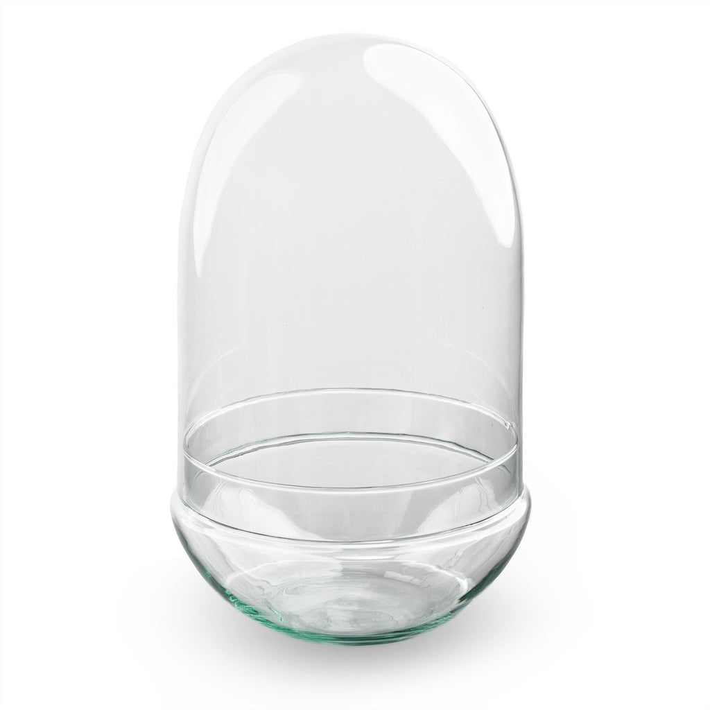 Flaschengarten Terrarium Ei XL Rundes Kuppelterrarium aus recyceltem Gla Ø17,5cm ↕30cm – pflegeleichter Flaschengarten im Glas, Pflanzen – Plant