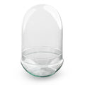 Flaschengarten Terrarium Ei XL Rundes Kuppelterrarium aus recyceltem Gla Ø17,5cm ↕30cm – pflegeleichter Flaschengarten im Glas, Pflanzen – Plant