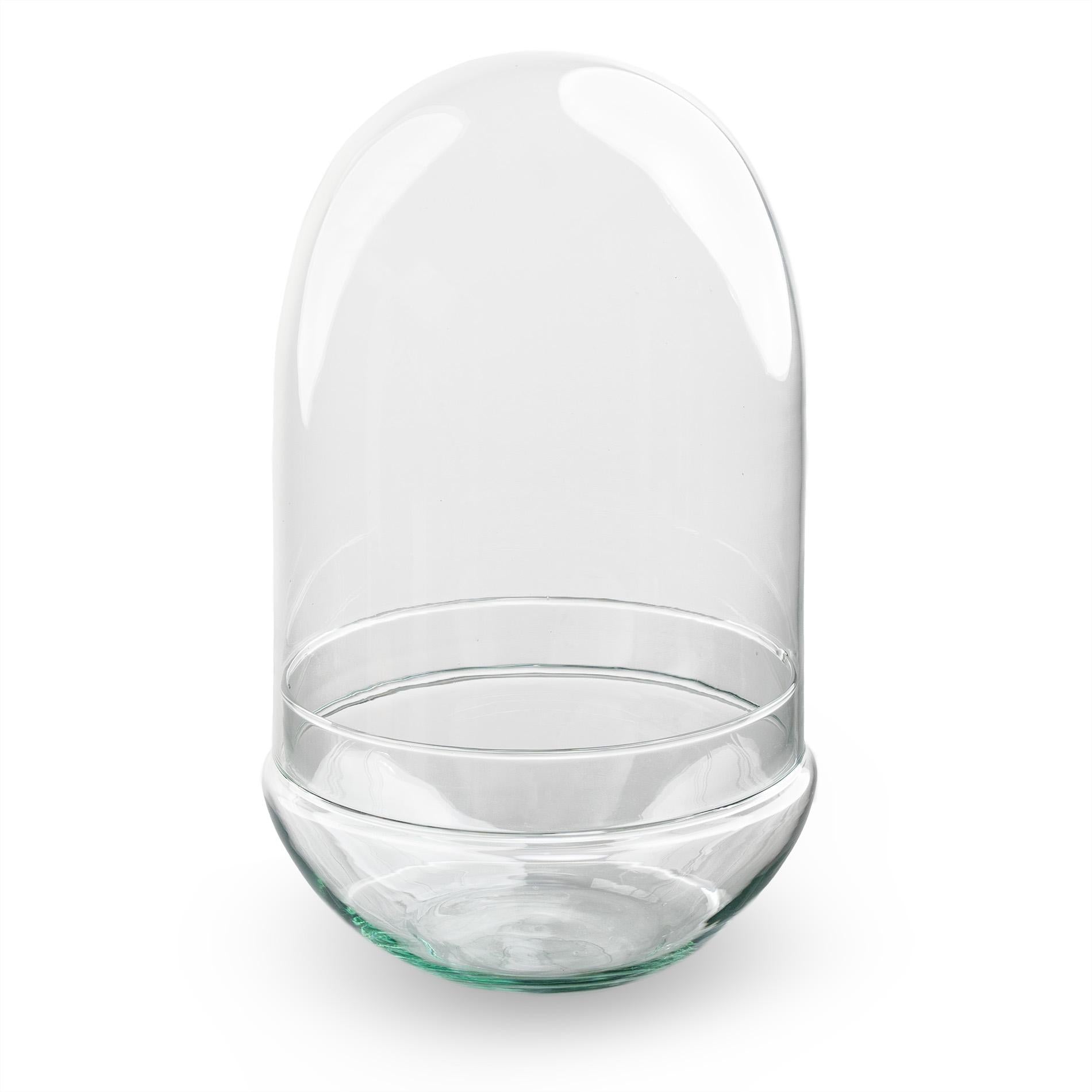Flaschengarten Terrarium Ei XL Rundes Kuppelterrarium aus recyceltem Gla Ø17,5cm ↕30cm – pflegeleichter Flaschengarten im Glas, Pflanzen – Plant