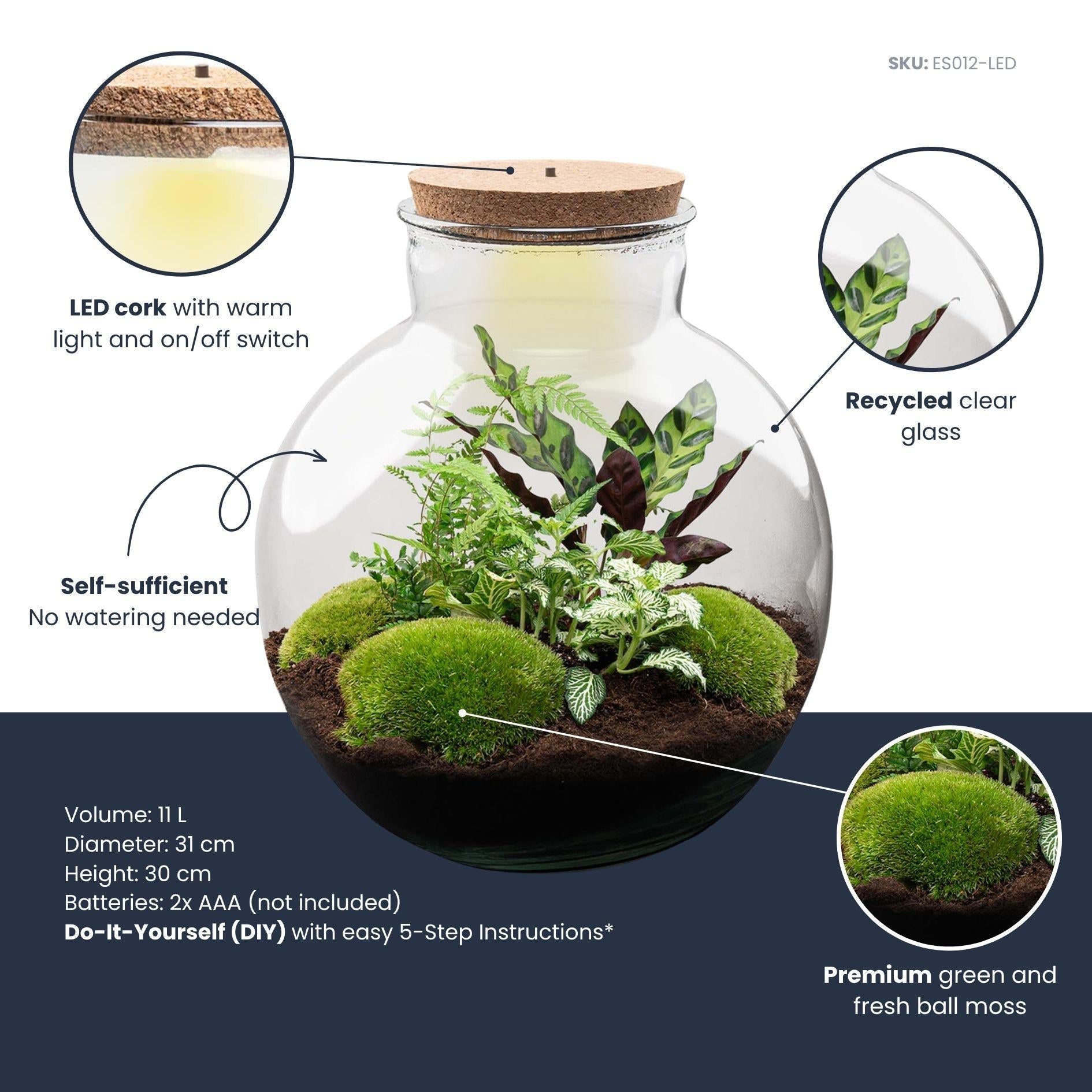 Flaschengarten Bolder Bob – Ø31cm – ↕30cm – DIY Terrarium mit Korkdeckel & Pflanzen – Selbstversorgendes Mini – Ökosystem ohne Werkzeug – Plant