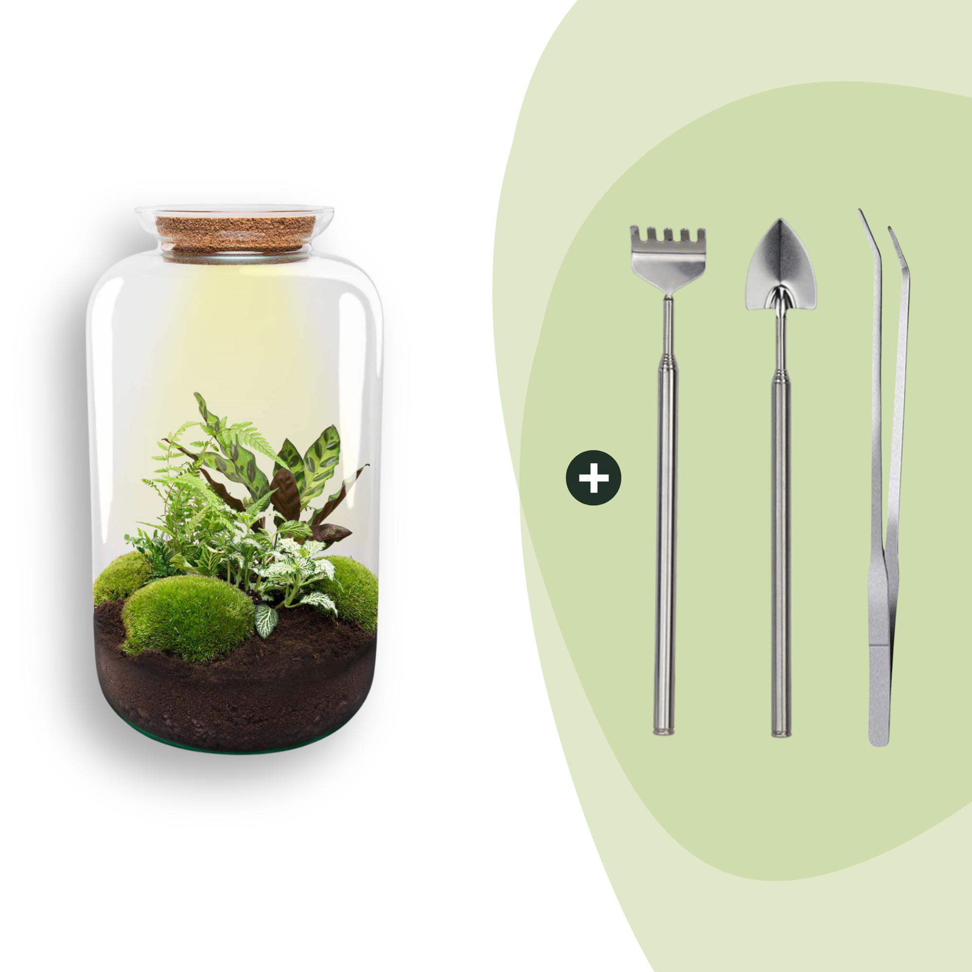 Flaschengarten Botanical Sven XL – DIY Bausatz Terrarium – ↕43cm – Do It Yourself Pflanzen – Set mit Korkdeckel – Autarkes Ökosystem – Plant