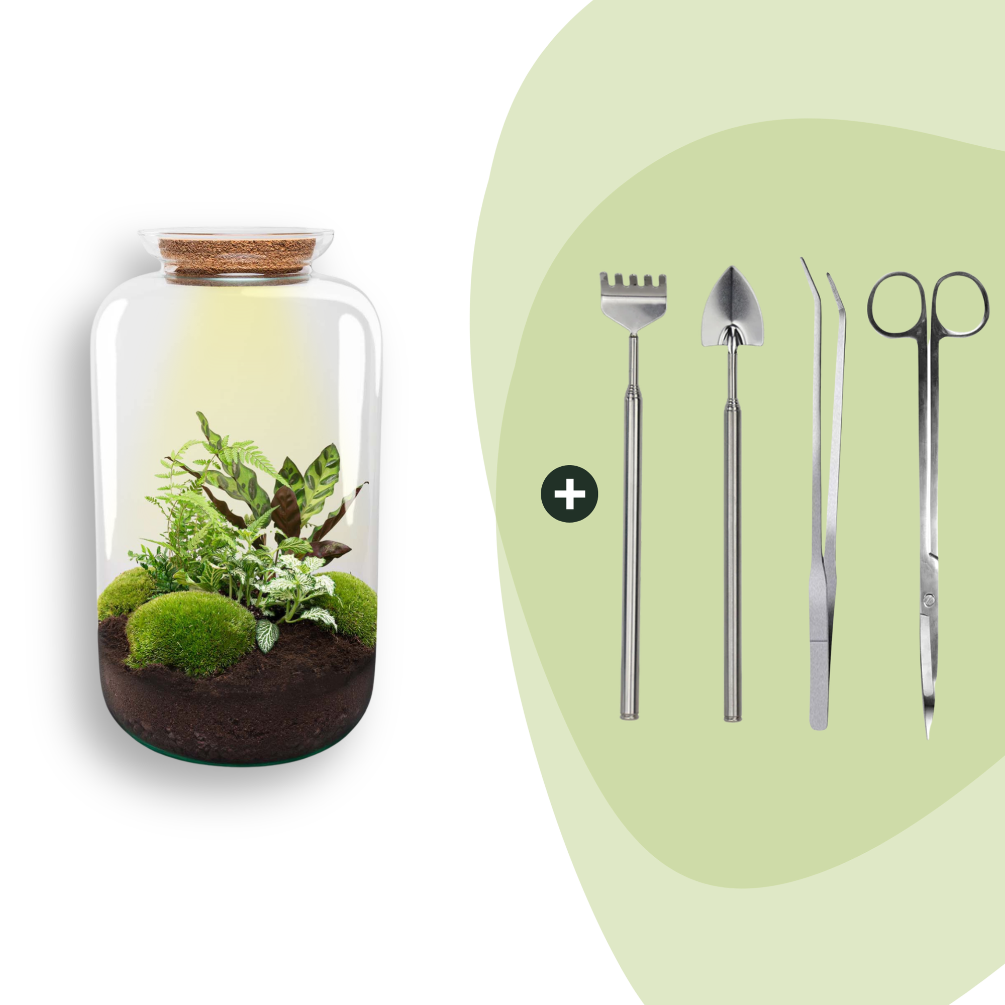 Flaschengarten Botanical Sven XL – DIY Bausatz Terrarium – ↕43cm – Do It Yourself Pflanzen – Set mit Korkdeckel – Autarkes Ökosystem – Plant
