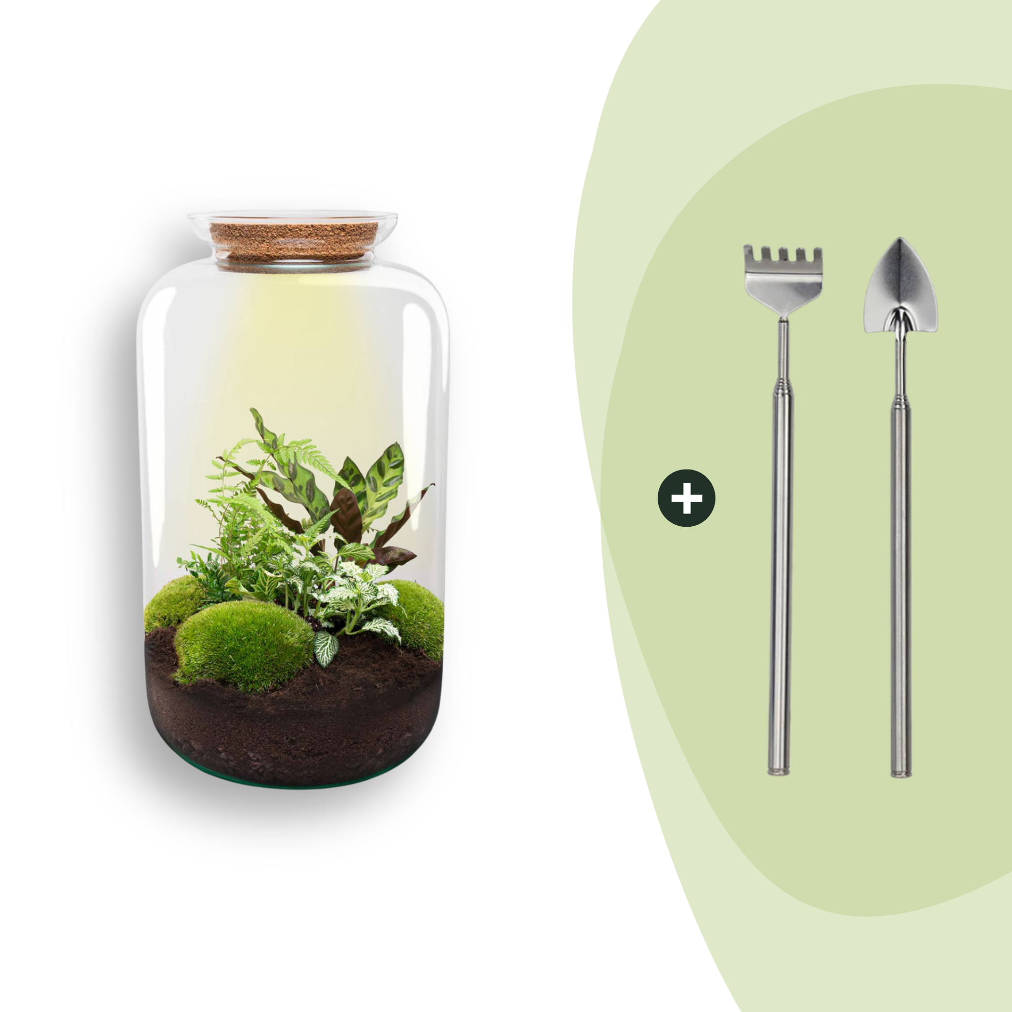 Flaschengarten Botanical Sven XL – DIY Bausatz Terrarium – ↕43cm – Do It Yourself Pflanzen – Set mit Korkdeckel – Autarkes Ökosystem – Plant