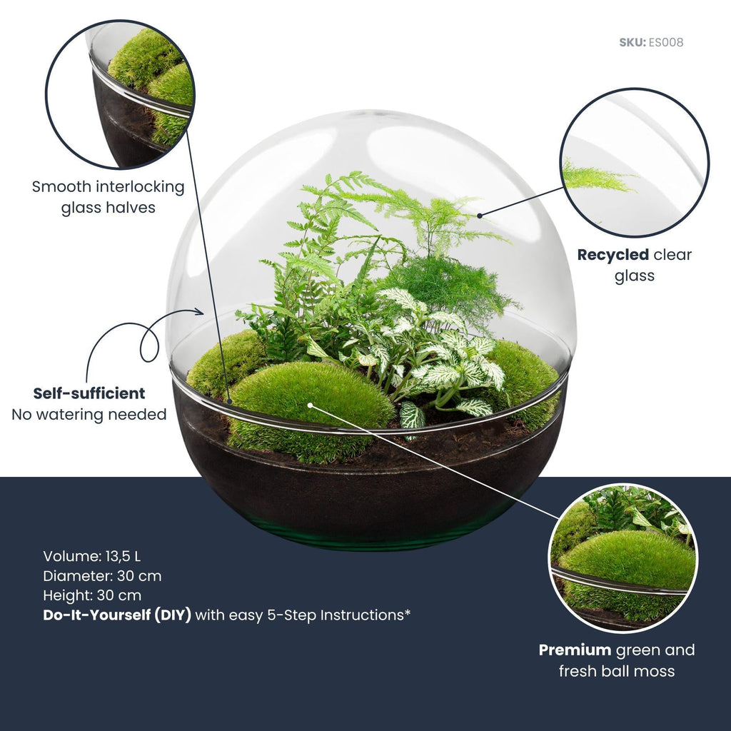 Flaschengarten DIY Bausatz Terrarium Kuppel XL Ø30cm – pflegeleichter Flaschengarten im Glas, Pflanzen Terrarium für Wohnzimmer & Büro – Plant