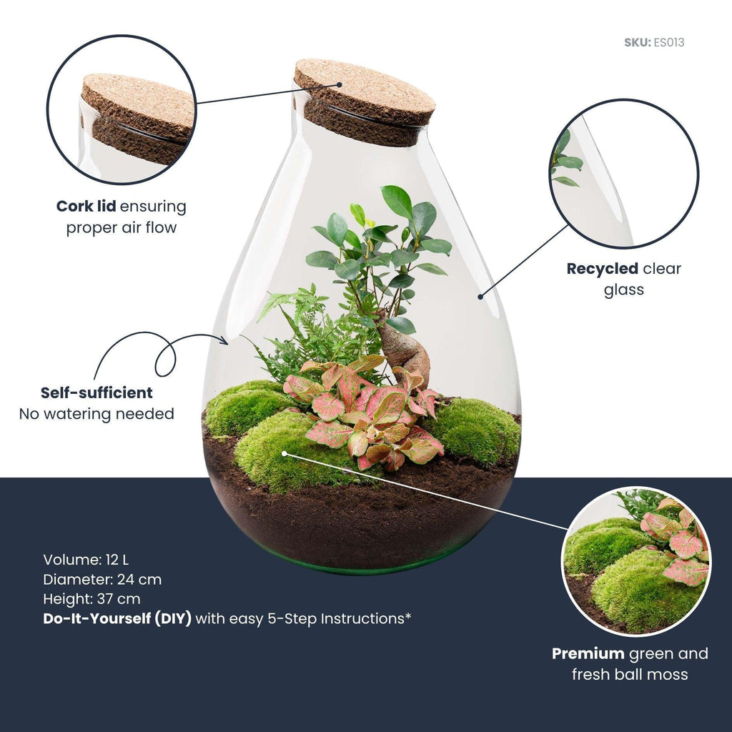 Flaschengarten DIY Bausatz - Terrarium – Drop XL – ↕ 37 cm – Plant