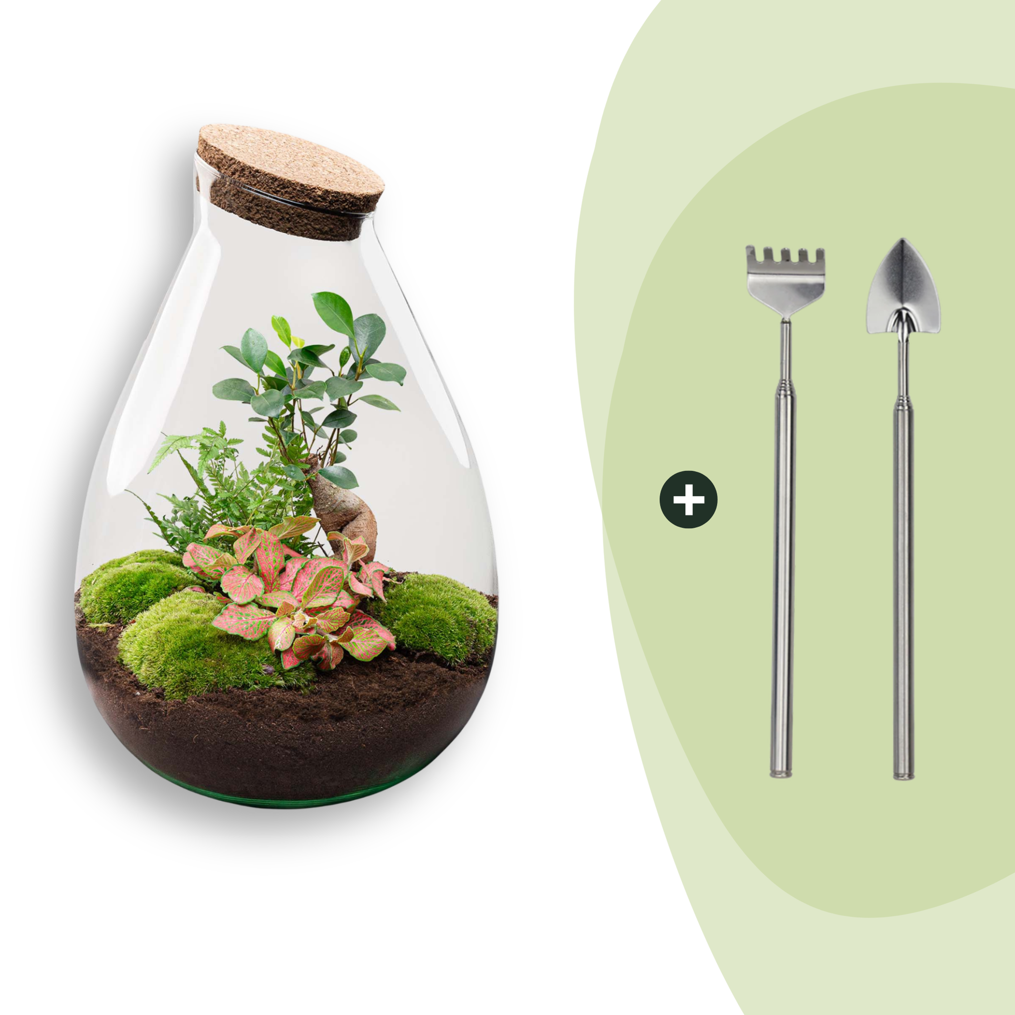 Flaschengarten DIY Bausatz - Terrarium – Drop XL – ↕ 37 cm – Plant