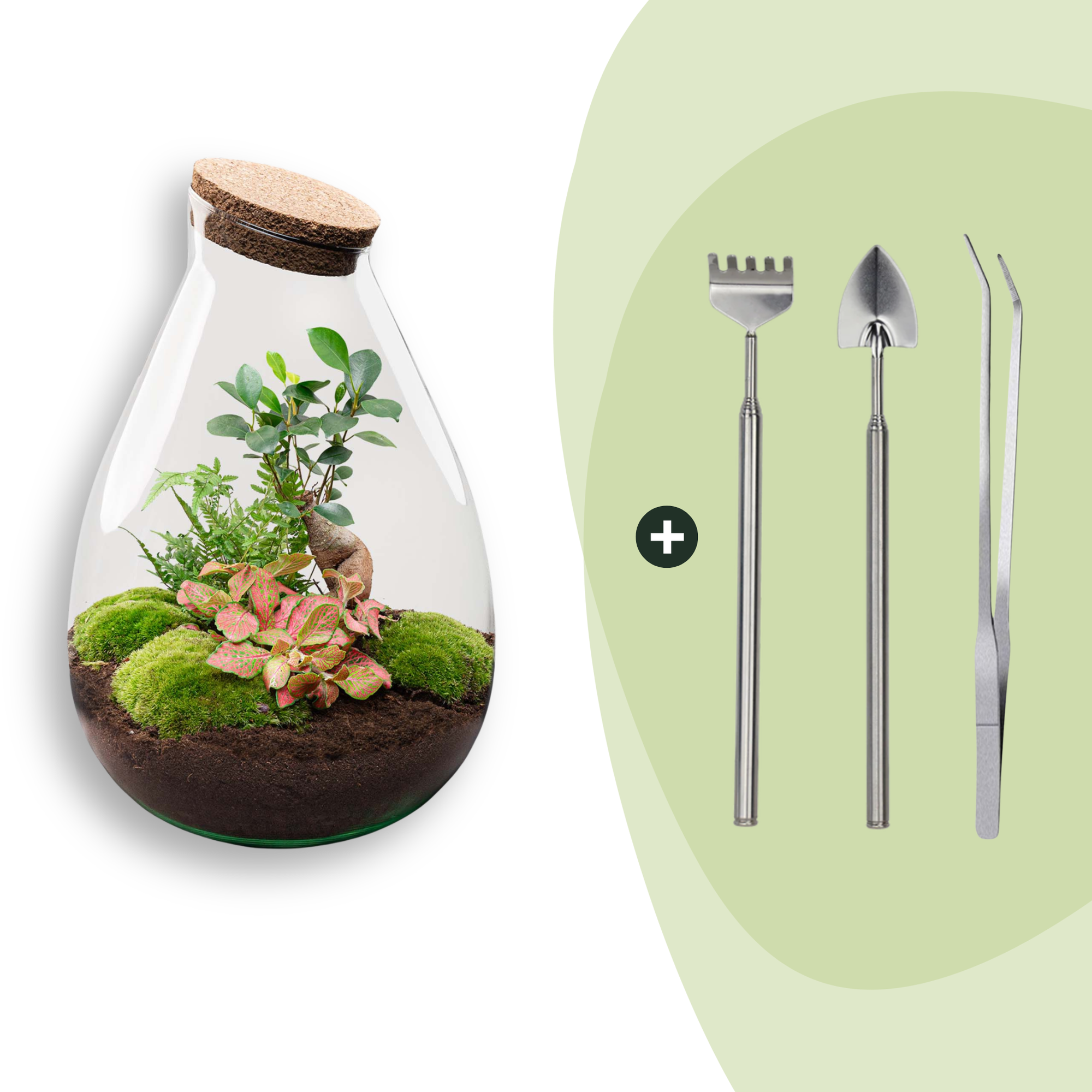 Flaschengarten DIY Bausatz - Terrarium – Drop XL – ↕ 37 cm – Plant