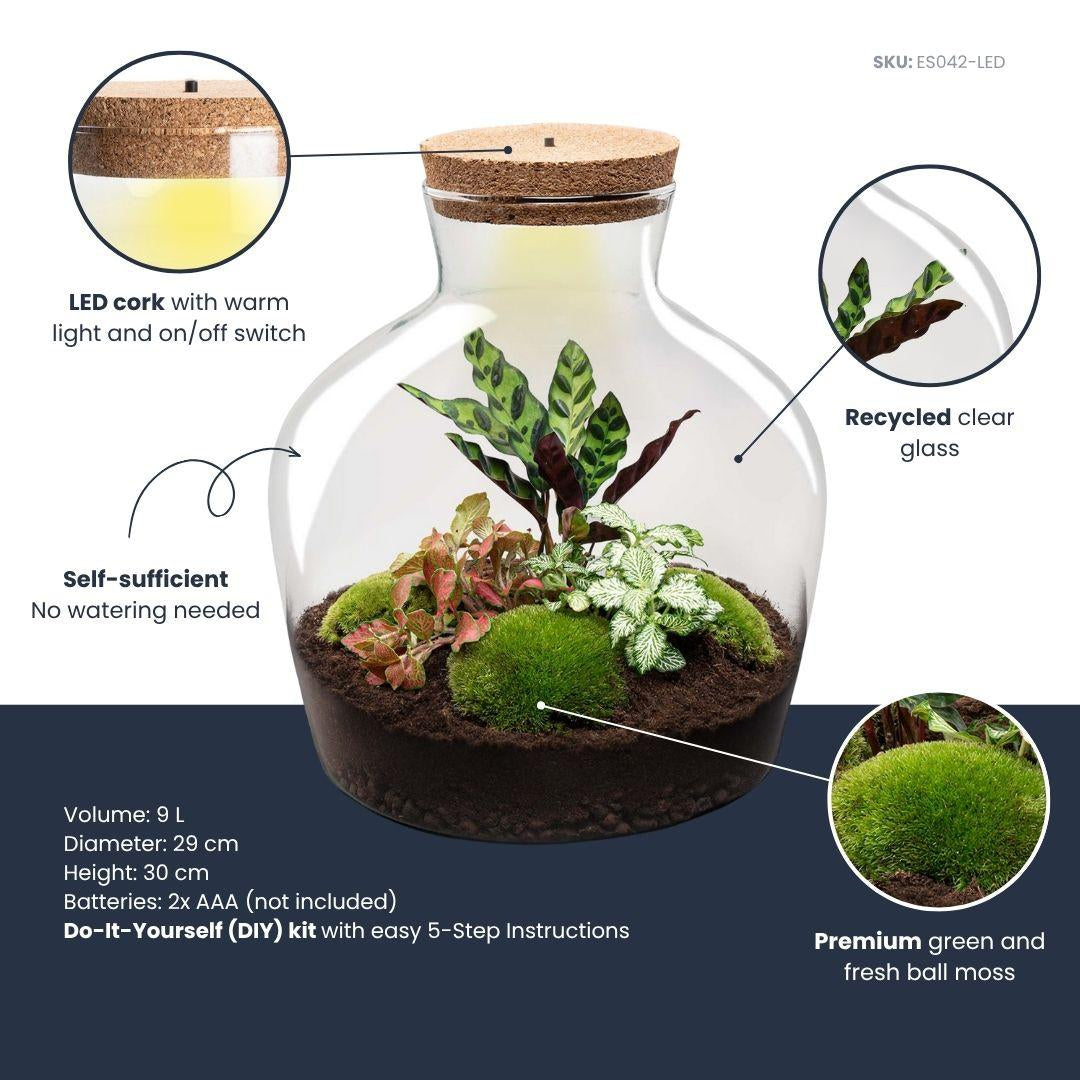 Flaschengarten DIY Bausatz – Terrarium Fat Joe Rot – Ø29cm x ↕30cm – Selbstversorgendes Pflanzterrarium mit Moosen & Zimmerpflanzen – Plant