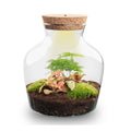Flaschengarten Little Joe – DIY Bausatz Terrarium – ↕21,5cm – Do It Yourself Pflanzen – Set im Glas – Autarkes Mini – Ökosystem – Plant