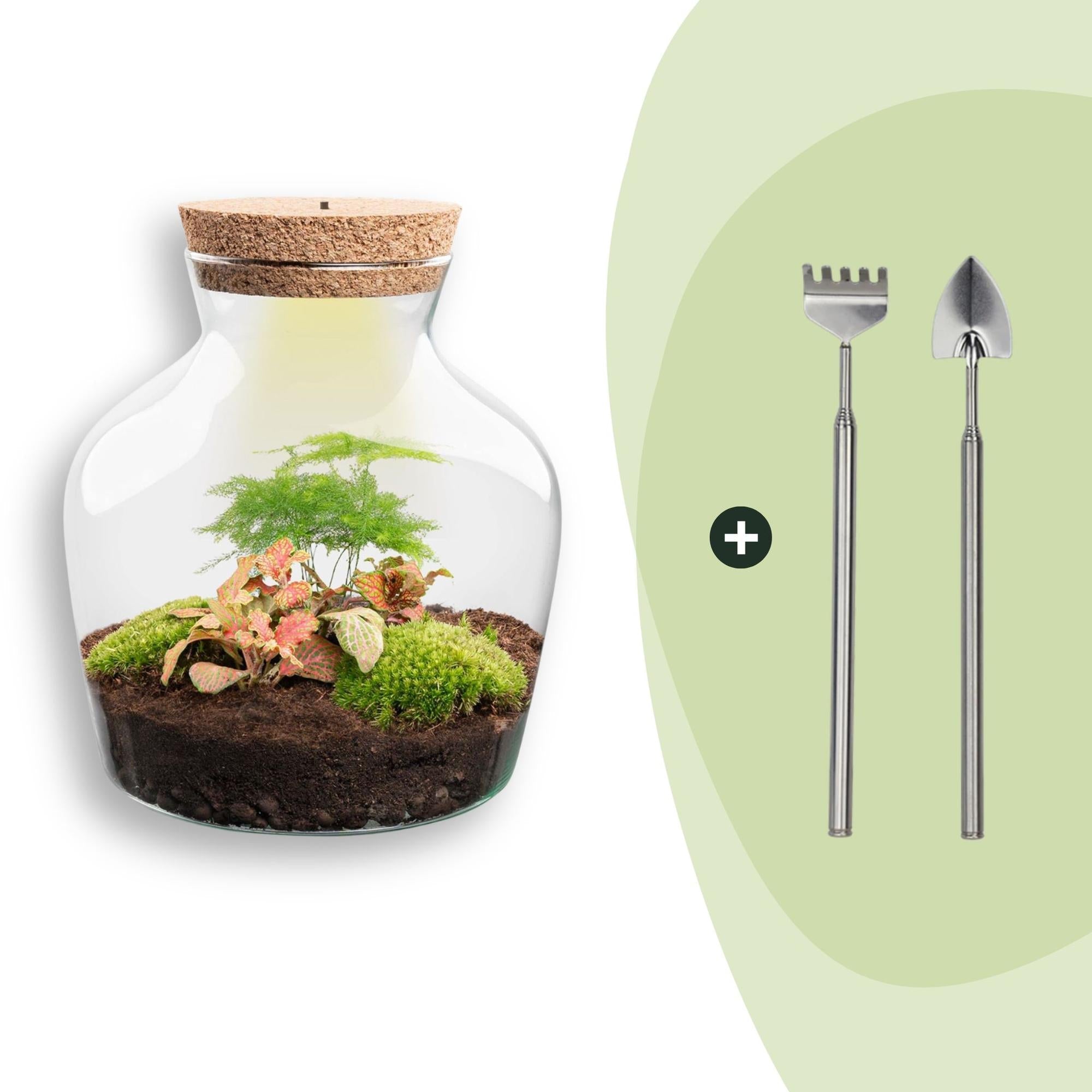 Flaschengarten Little Joe – DIY Bausatz Terrarium – ↕21,5cm – Do It Yourself Pflanzen – Set im Glas – Autarkes Mini – Ökosystem – Plant