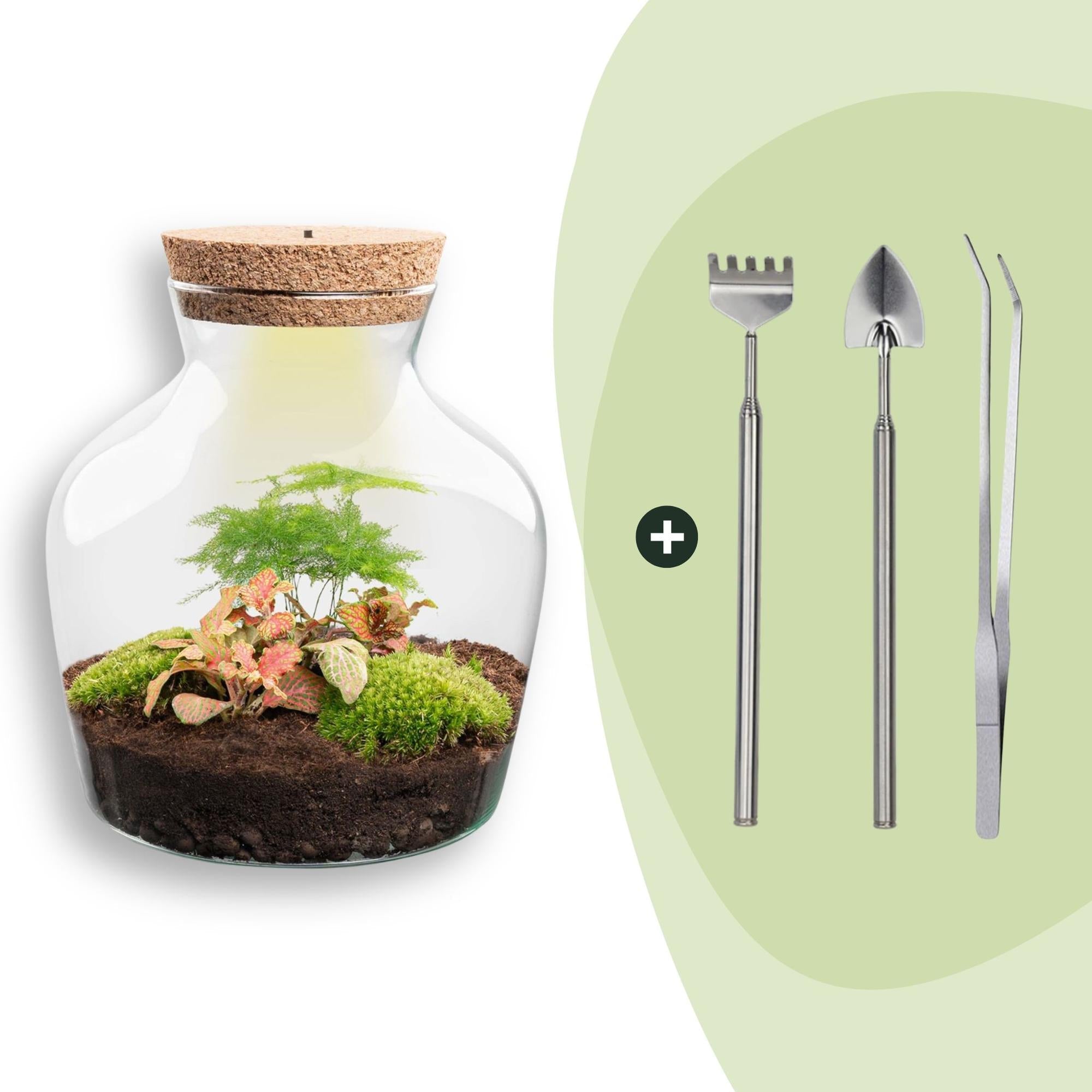 Flaschengarten Little Joe – DIY Bausatz Terrarium – ↕21,5cm – Do It Yourself Pflanzen – Set im Glas – Autarkes Mini – Ökosystem – Plant