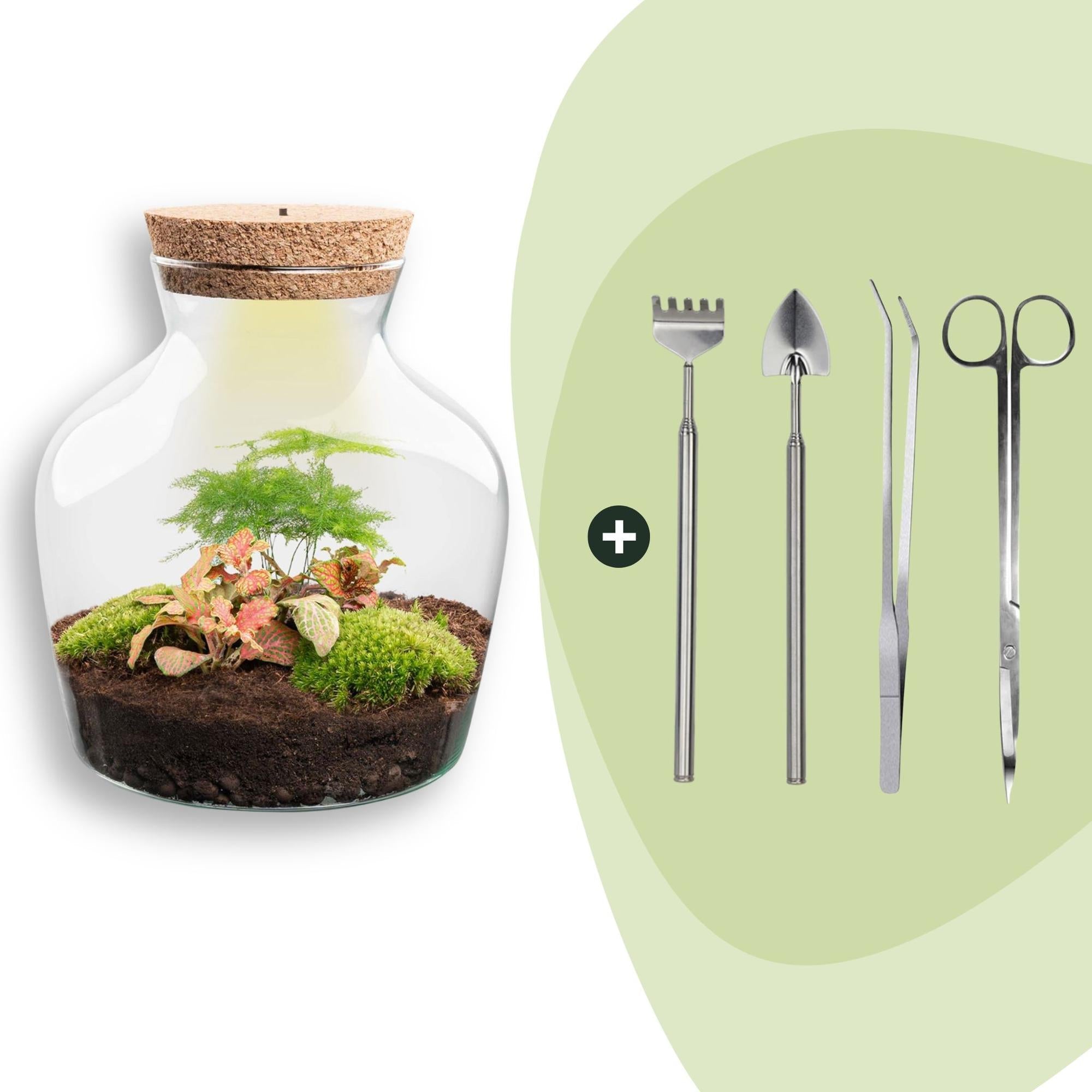 Flaschengarten Little Joe – DIY Bausatz Terrarium – ↕21,5cm – Do It Yourself Pflanzen – Set im Glas – Autarkes Mini – Ökosystem – Plant