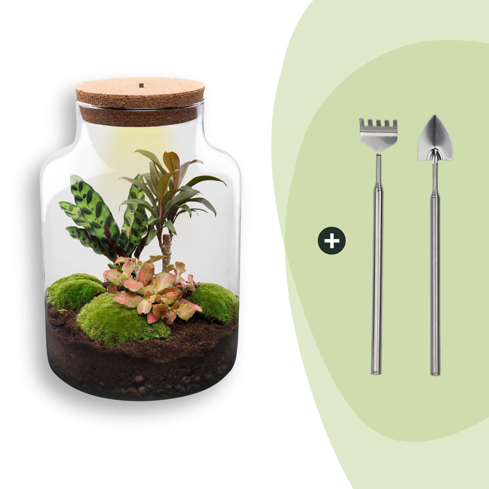 Flaschengarten Milky – DIY Bausatz Terrarium – ↕30cm – Do It Yourself Pflanzen – Set im Glas mit Korkdeckel – Autarkes Mini – Ökosystem – Plant