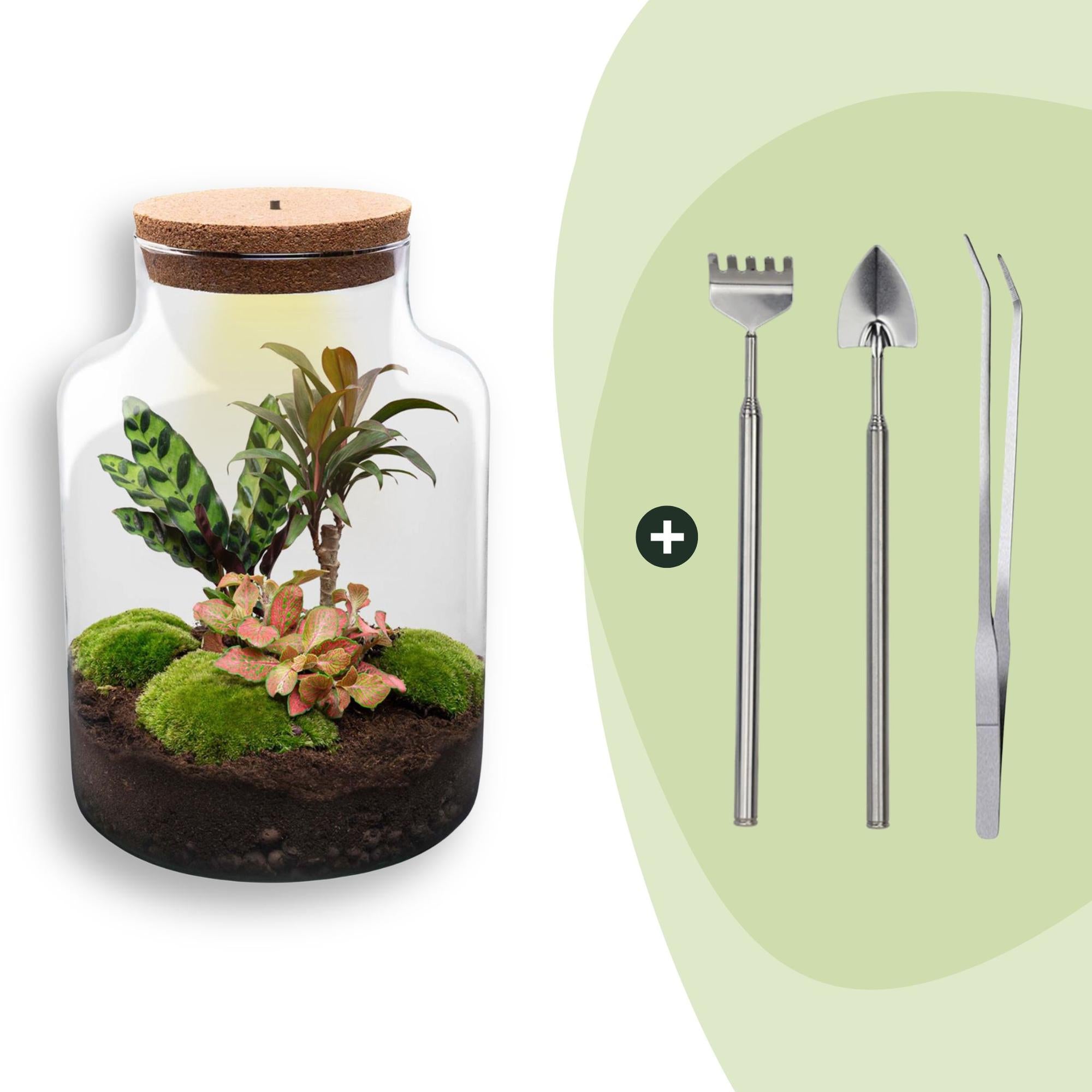 Flaschengarten Milky – DIY Bausatz Terrarium – ↕30cm – Do It Yourself Pflanzen – Set im Glas mit Korkdeckel – Autarkes Mini – Ökosystem – Plant