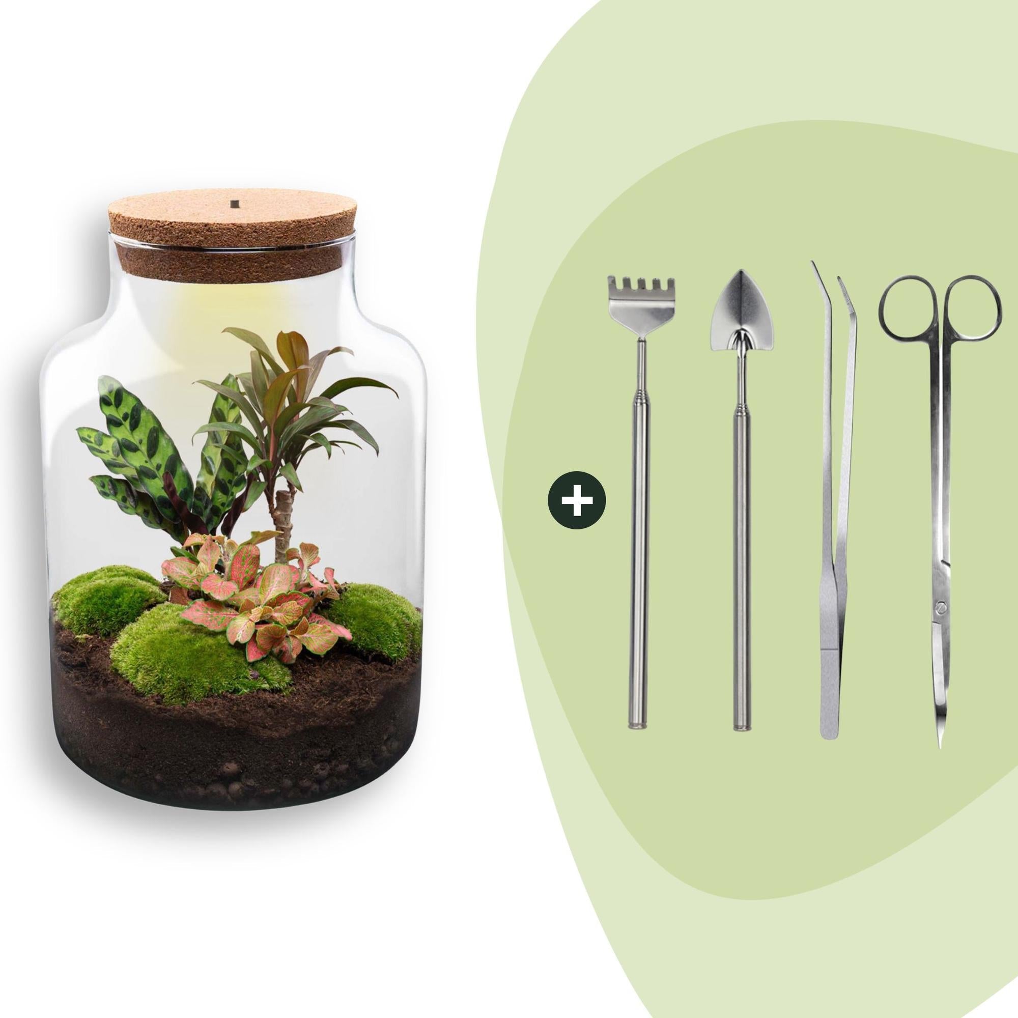 Flaschengarten Milky – DIY Bausatz Terrarium – ↕30cm – Do It Yourself Pflanzen – Set im Glas mit Korkdeckel – Autarkes Mini – Ökosystem – Plant