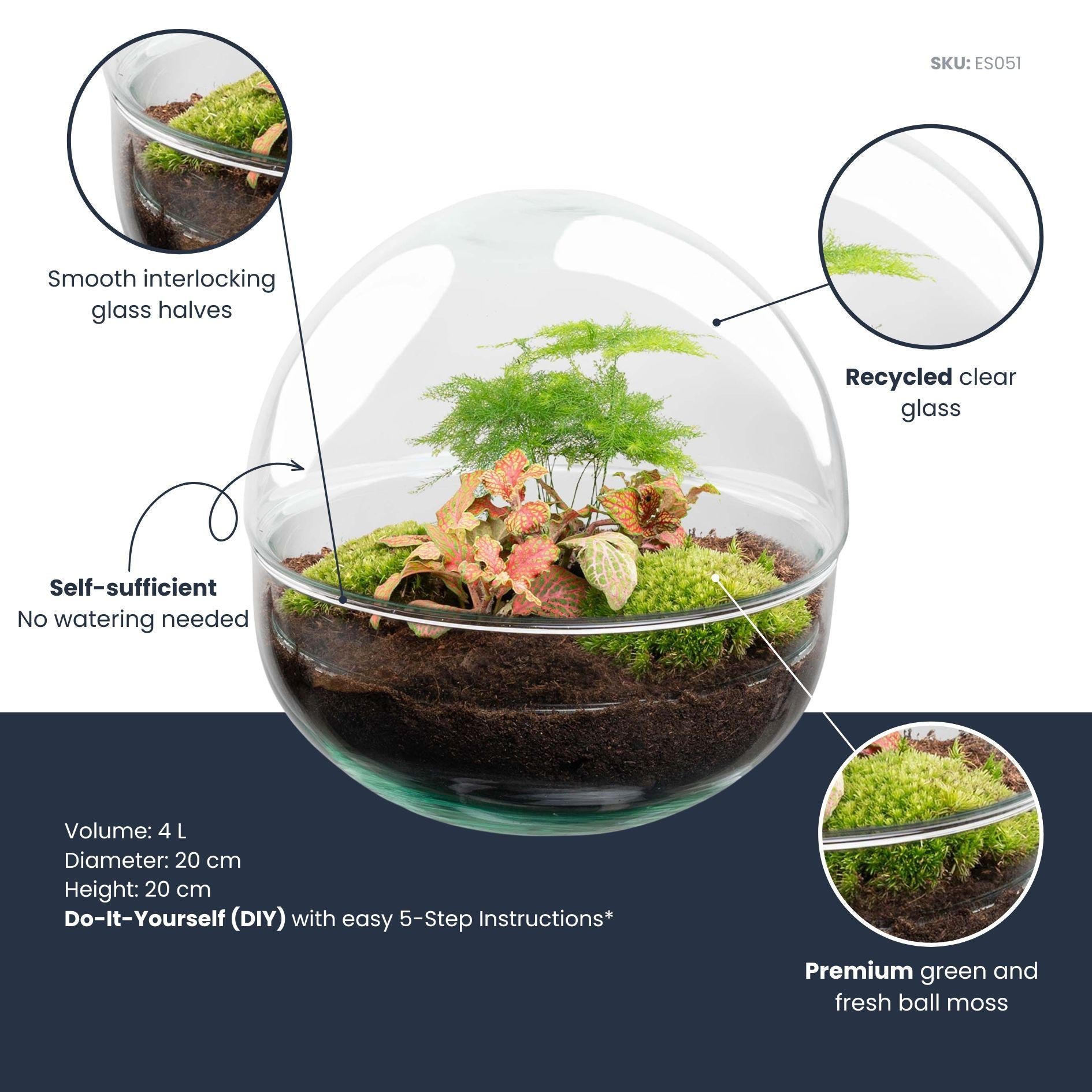 DIY Flaschengarten Set – Dome Glas Rot – Ø20cm x H20cm – Selbstversorgendes Pflanzterrarium mit Fittonia, Spargel & Moos – Mini – Pflegeleicht – Plant