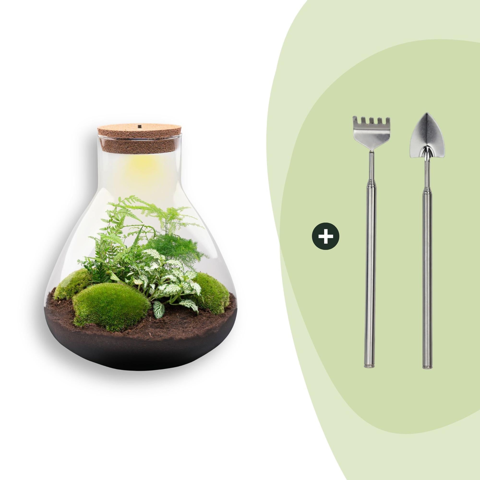 Flaschengarten Sam XL – DIY Bausatz Terrarium – ↕35cm – Do – It – Yourself Pflanzen – Set mit Korkdeckel – Autarkes Mini – Ökosystem – Plant