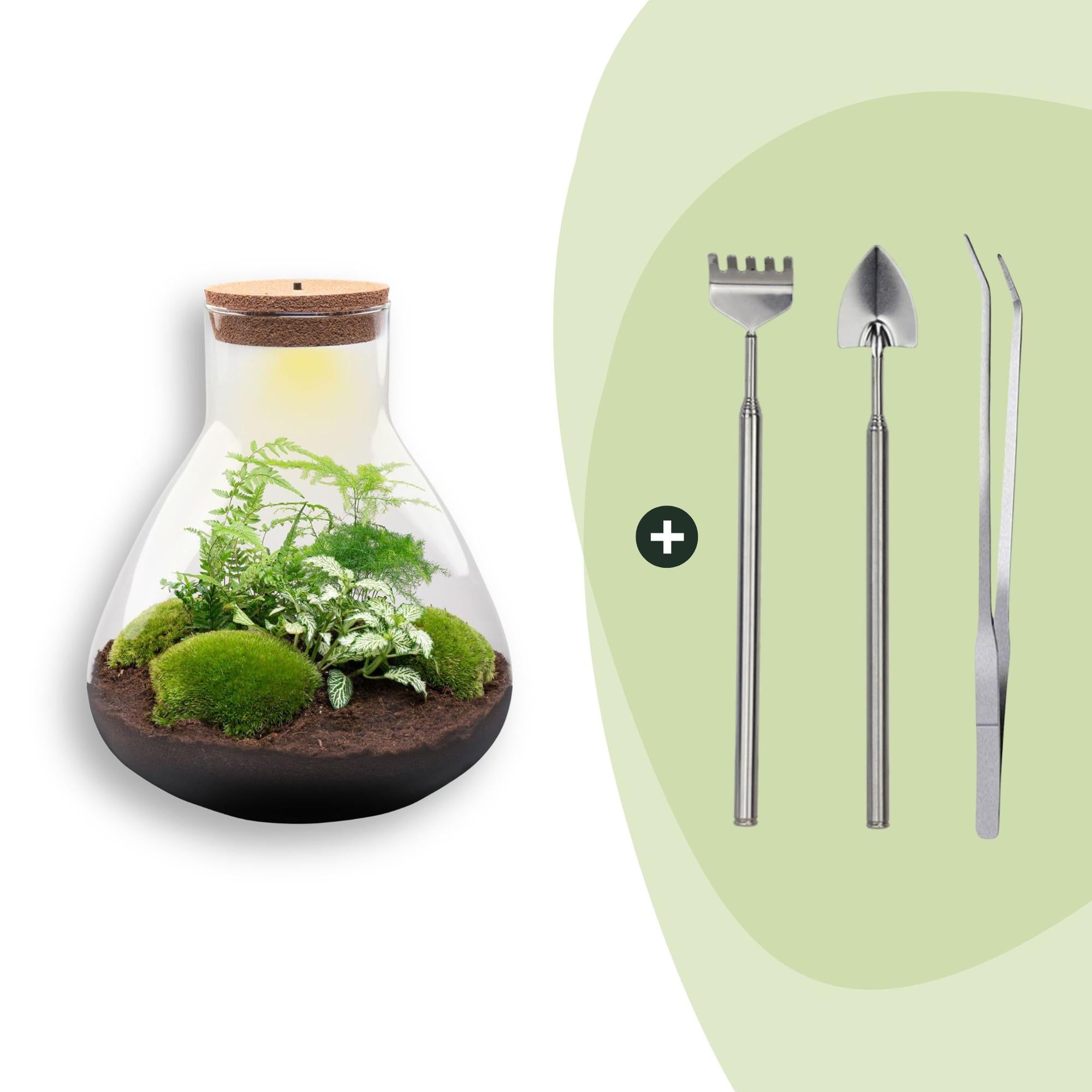Flaschengarten Sam XL – DIY Bausatz Terrarium – ↕35cm – Do – It – Yourself Pflanzen – Set mit Korkdeckel – Autarkes Mini – Ökosystem – Plant