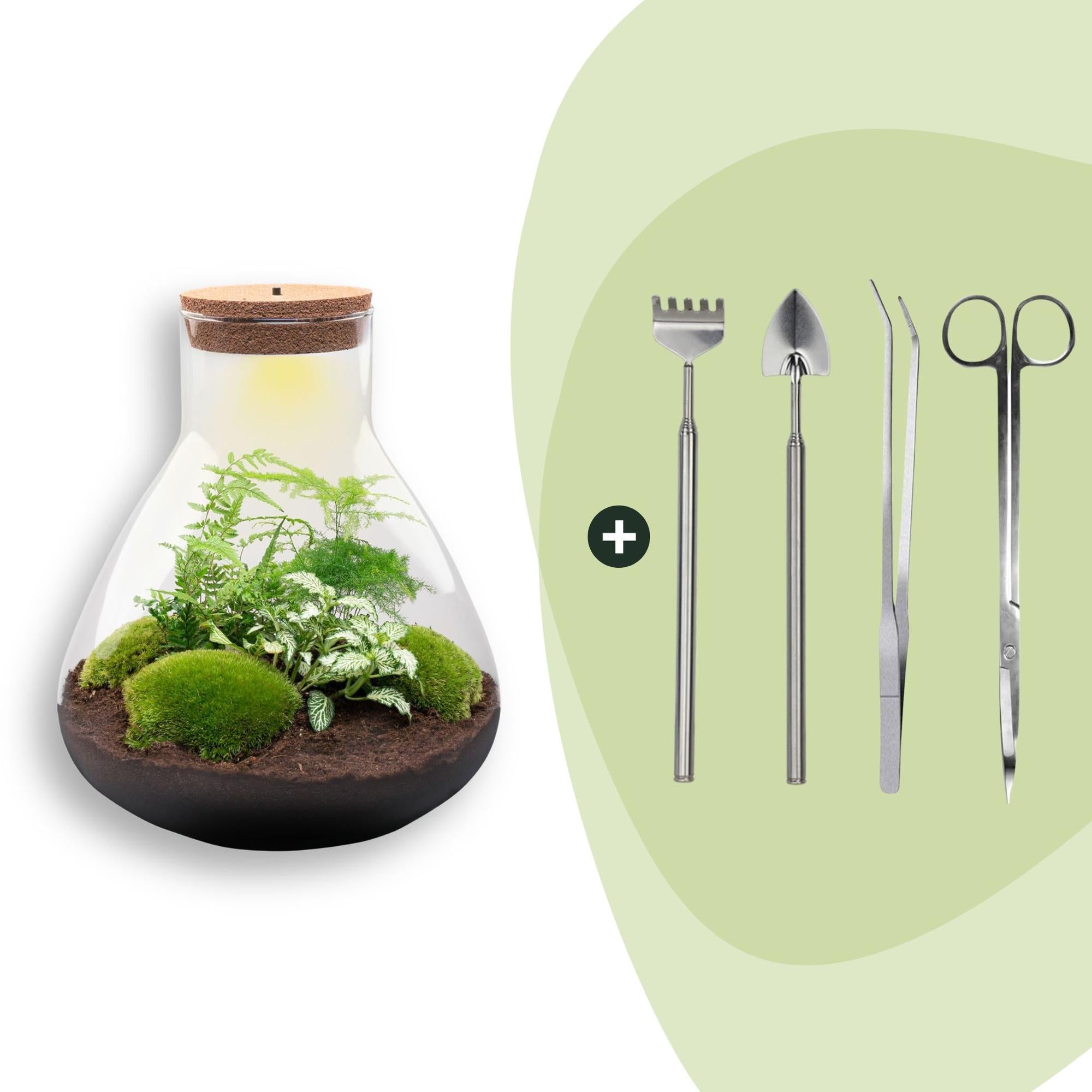 Flaschengarten Sam XL – DIY Bausatz Terrarium – ↕35cm – Do – It – Yourself Pflanzen – Set mit Korkdeckel – Autarkes Mini – Ökosystem – Plant