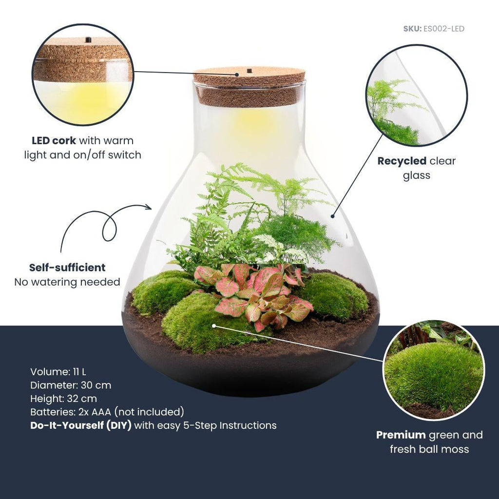 Flaschengarten Sam XL Rot – DIY Bausatz Terrarium – ↕35cm – Do It Yourself Pflanzen – Set – Autarkes Mini – Ökosystem – Plant