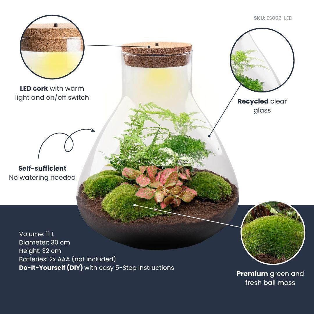 Flaschengarten Sam XL Rot – DIY Bausatz Terrarium – ↕35cm – Do It Yourself Pflanzen – Set – Autarkes Mini – Ökosystem – Plant