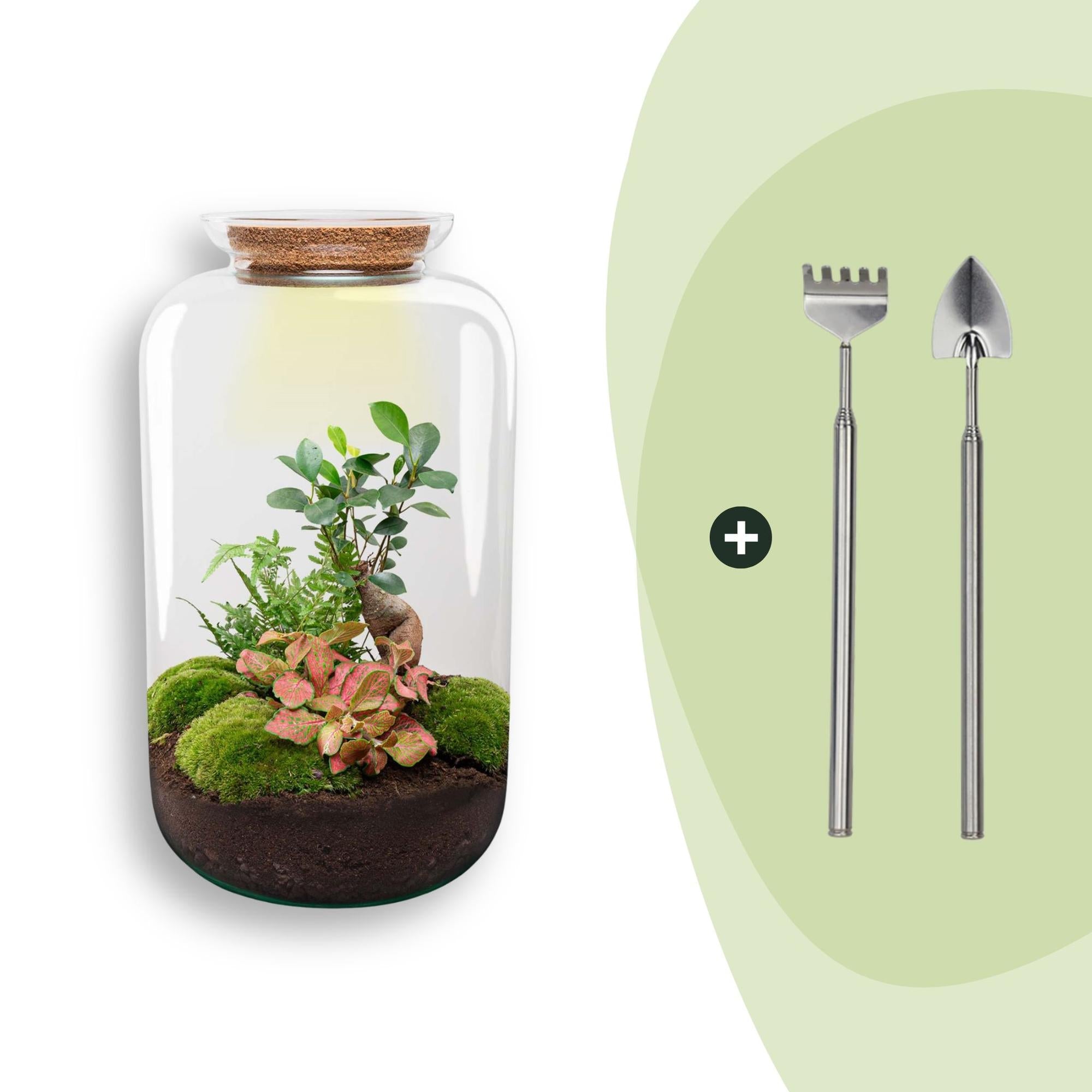 Flaschengarten Sven Bonsai – DIY Bausatz Terrarium – ↕43cm – Do It Yourself Pflanzen – Set im Glas mit Korkdeckel – Autarkes Mini – Ökosystem – Plant