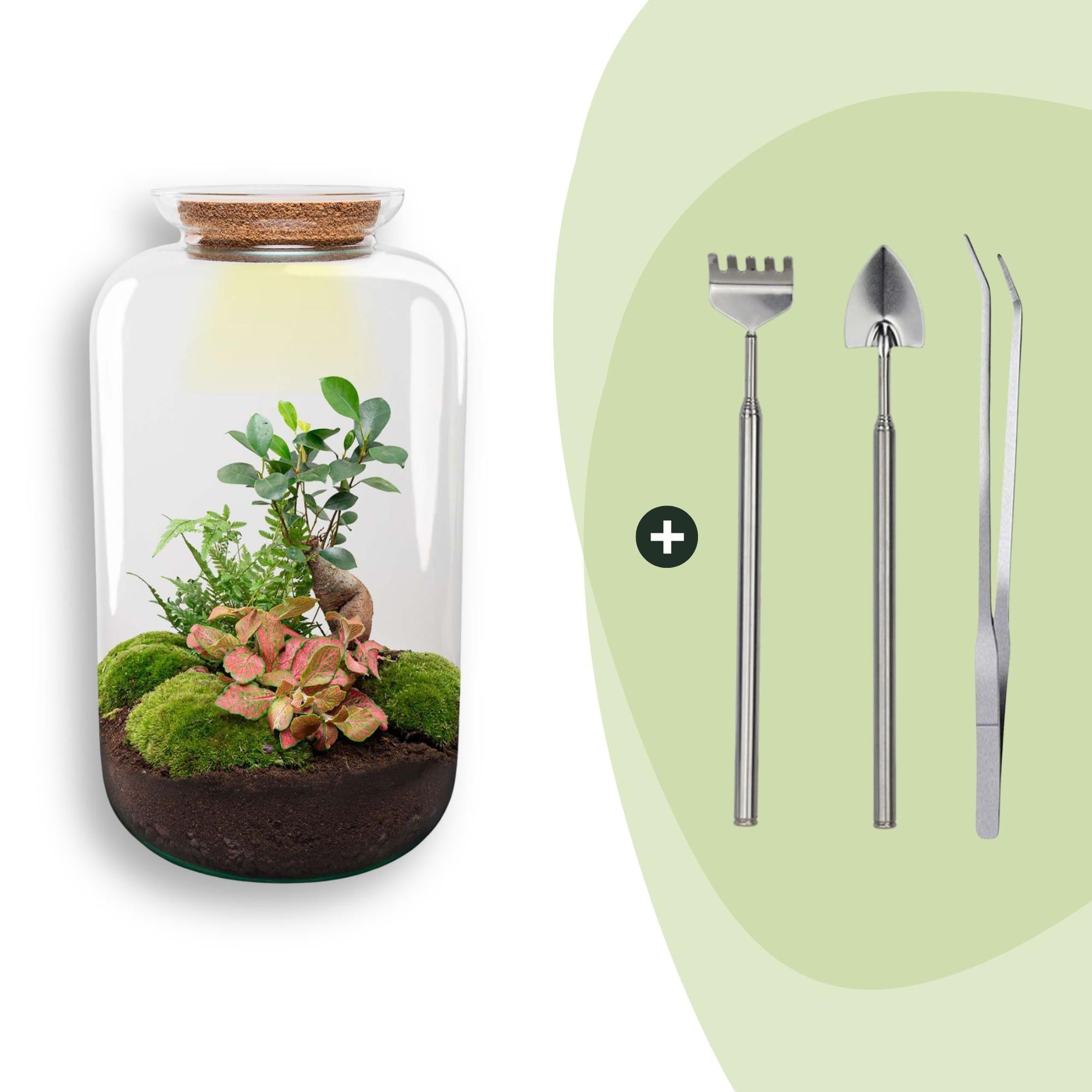 Flaschengarten Sven Bonsai – DIY Bausatz Terrarium – ↕43cm – Do It Yourself Pflanzen – Set im Glas mit Korkdeckel – Autarkes Mini – Ökosystem – Plant