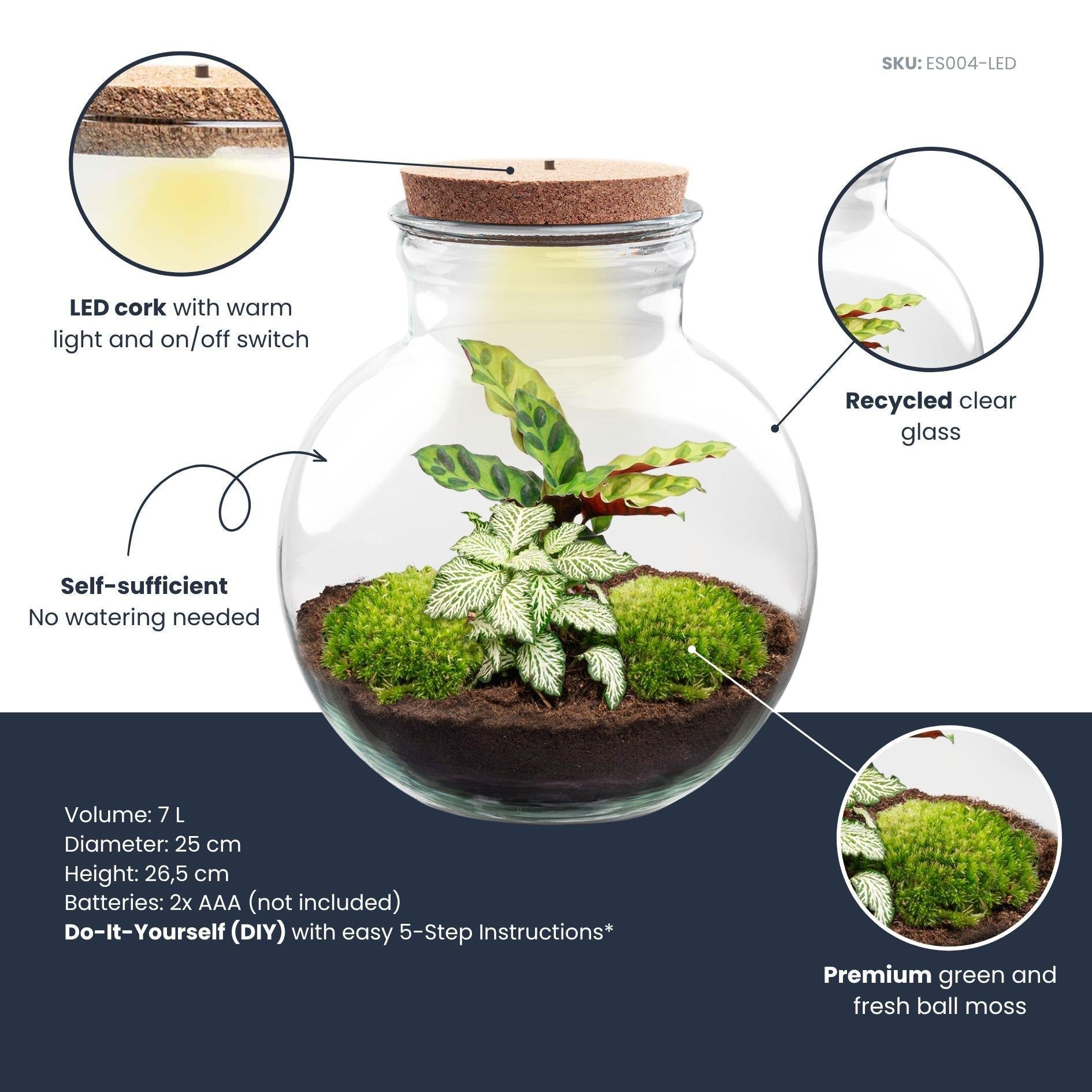 Flaschengarten Teddy – DIY Bausatz Terrarium – ↕26,5cm – Do It Yourself Pflanzen – Set im Glas mit Kork – Autarkes Mini – Ökosystem – Plant