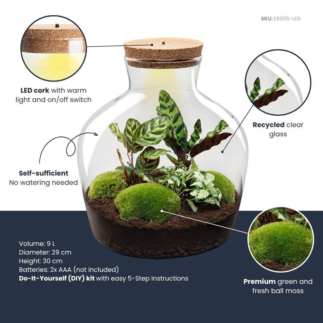 Flaschengarten DIY Bausatz Fat Joe – Terrarium Set mit Pflanzen, Moos & Zubehör – Ø29cm ↕30cm – Selbstversorgendes Pflanzterrarium mit 5 – Schritte – Plant