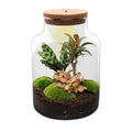 Flaschengarten Milky – DIY Bausatz Terrarium – ↕30cm – Do It Yourself Pflanzen – Set im Glas mit Korkdeckel – Autarkes Mini – Ökosystem – Plant