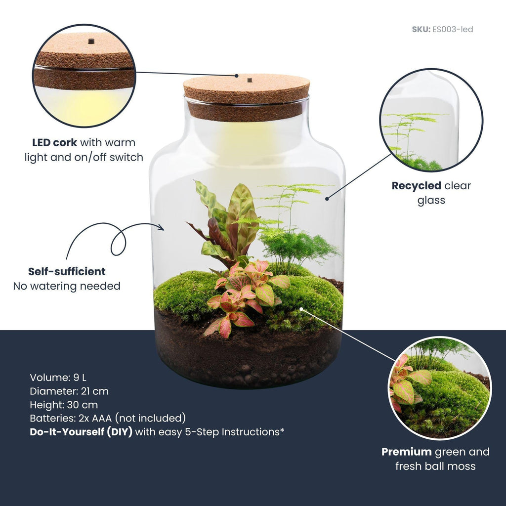 Flaschengarten Milky – DIY Bausatz Terrarium – ↕30cm – Do It Yourself Pflanzen – Set im Glas mit Korkdeckel – Autarkes Mini – Ökosystem – Plant
