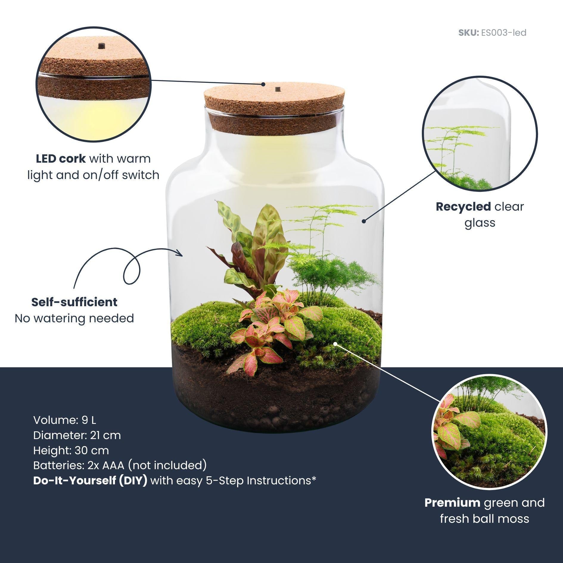 Flaschengarten Milky – DIY Bausatz Terrarium – ↕30cm – Do It Yourself Pflanzen – Set im Glas mit Korkdeckel – Autarkes Mini – Ökosystem – Plant