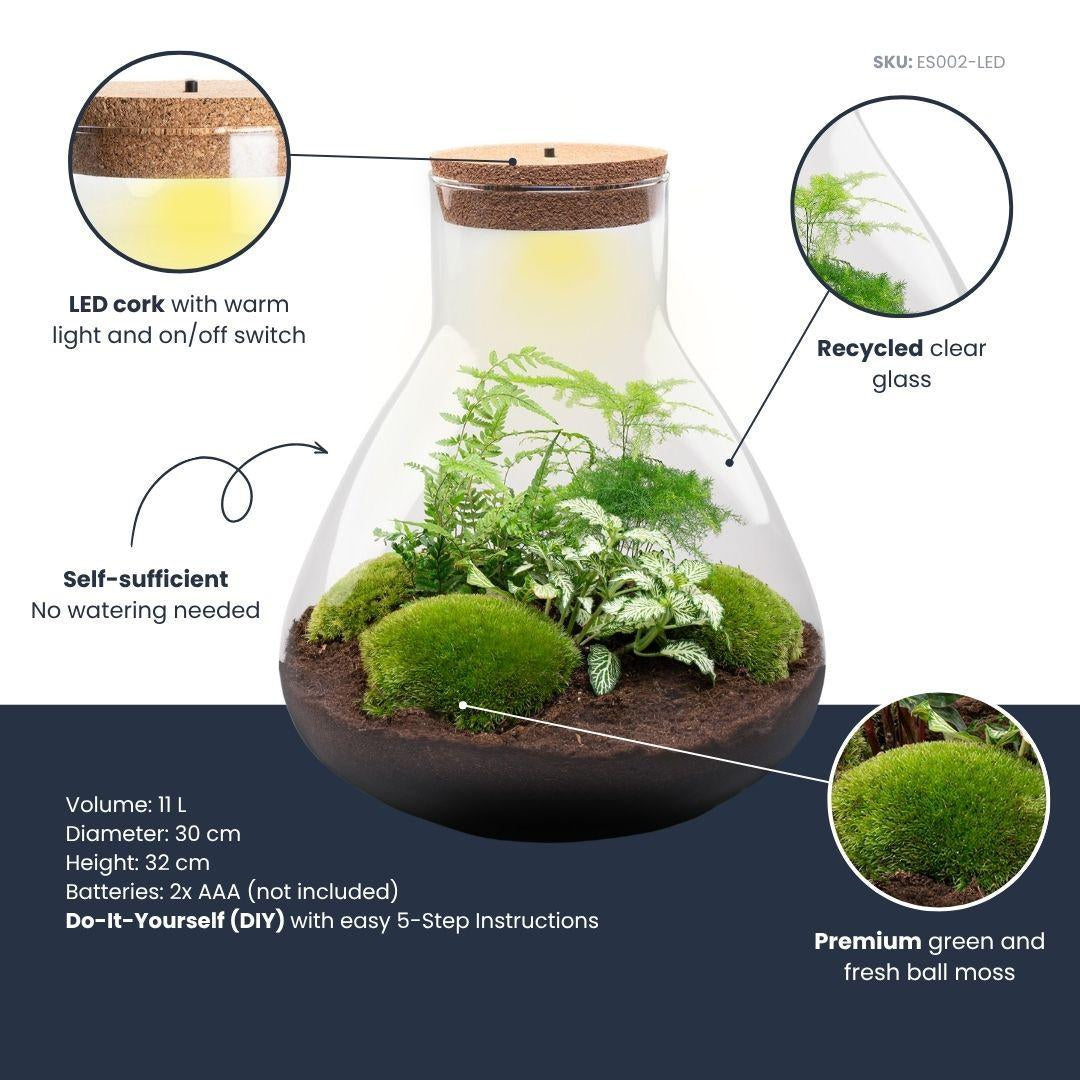 Flaschengarten Sam XL – DIY Bausatz Terrarium – ↕35cm – Do – It – Yourself Pflanzen – Set mit Korkdeckel – Autarkes Mini – Ökosystem – Plant