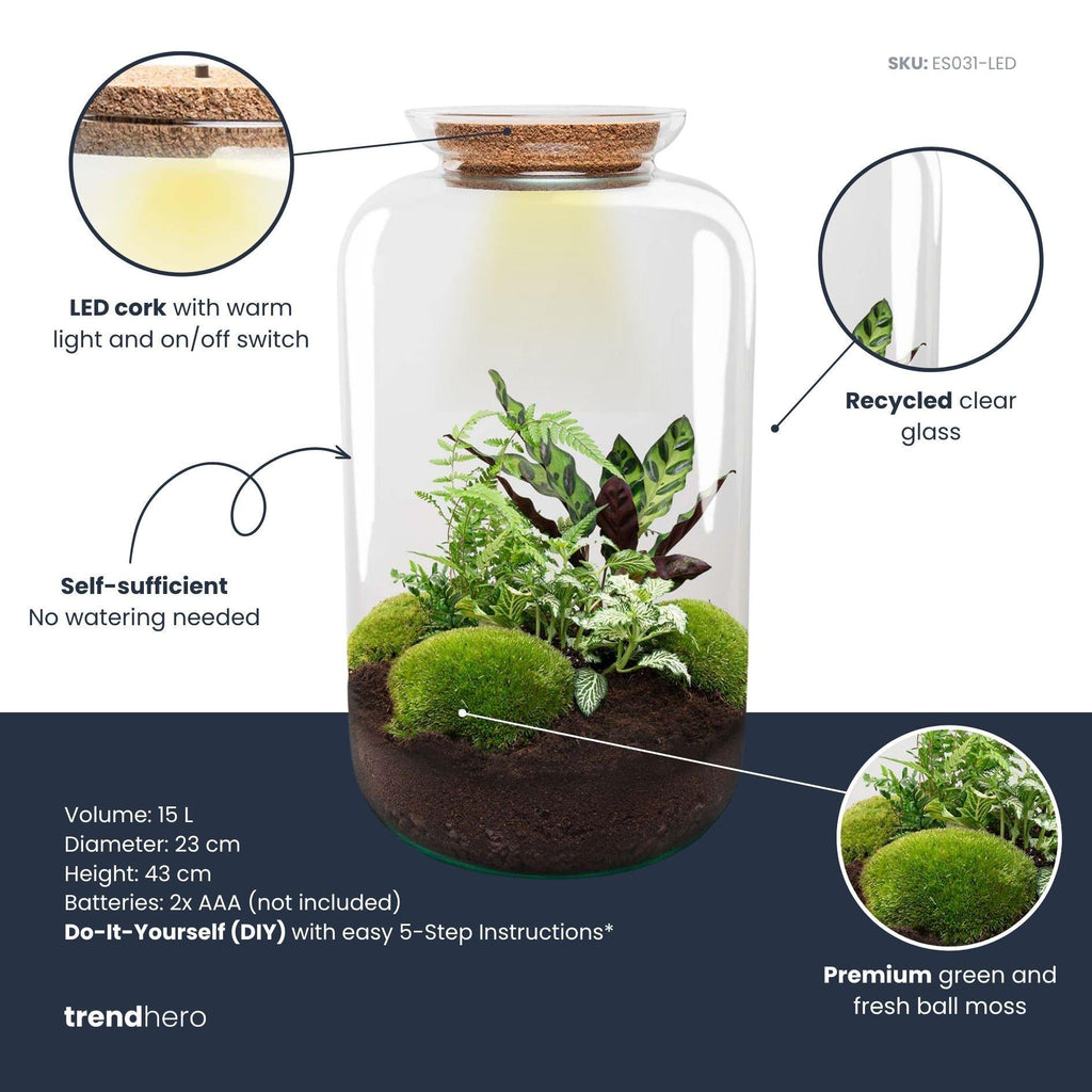 Flaschengarten Botanical Sven XL – DIY Bausatz Terrarium – ↕43cm – Do It Yourself Pflanzen – Set mit Korkdeckel – Autarkes Ökosystem – Plant