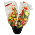 Mohn Blühend Papaver – Schnittmohn Knospenmix – 60cm Stiellänge – 150 Stiele für Floristik & Dekoration