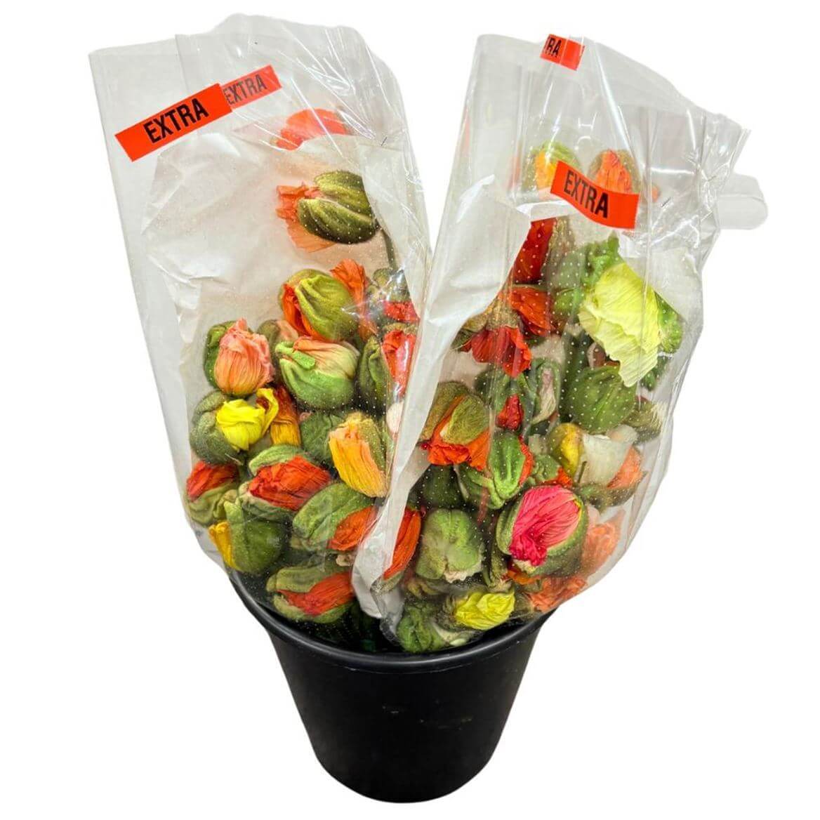 Mohn Blühend Papaver – Schnittmohn Knospenmix – 60cm Stiellänge – 150 Stiele für Floristik & Dekoration