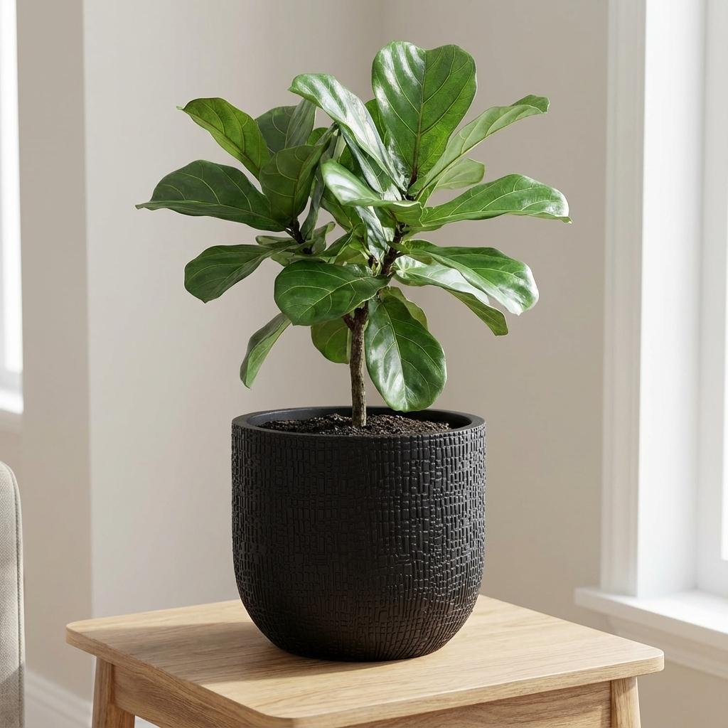 Topf Capi Bol Skin – Anthrazit – D17cm – Moderner, leichter Pflanztopf mit einzigartiger Hautstruktur – Für Innen & Außen – Robust & stilvoll – Plant