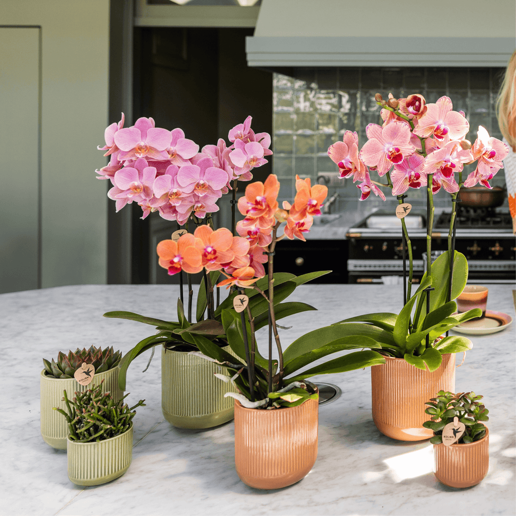 Flare Dekotopf Green – Ø9cm – Grüner Blumentopf mit Rillenstruktur – Retro – inspiriertes Design der Bold Seventies Kollektion – Plant