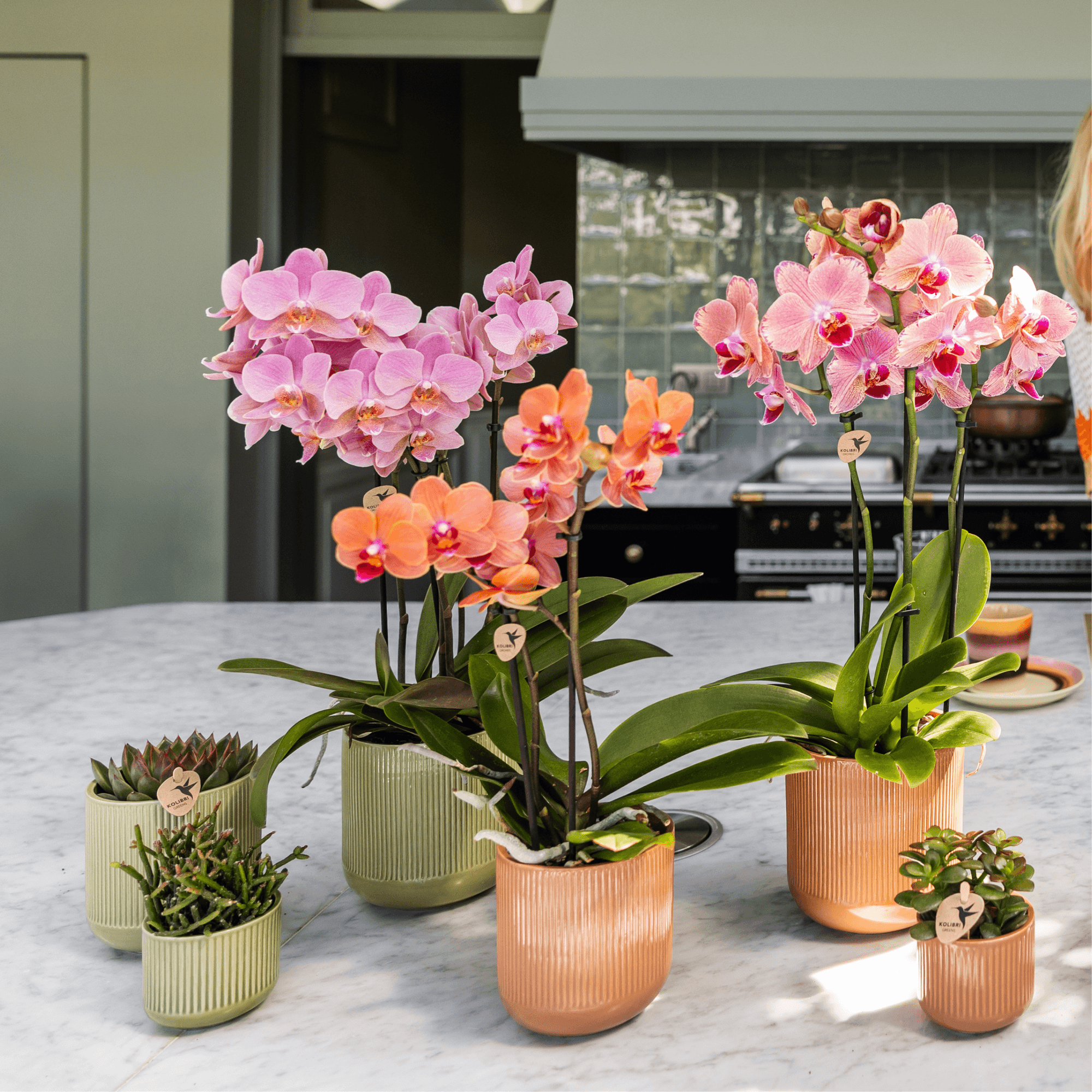 Flare Dekotopf Green – Ø6cm – Kleiner Retro – Blumentopf mit Rillenstruktur – Bold Seventies Design – Für Mini – Plant