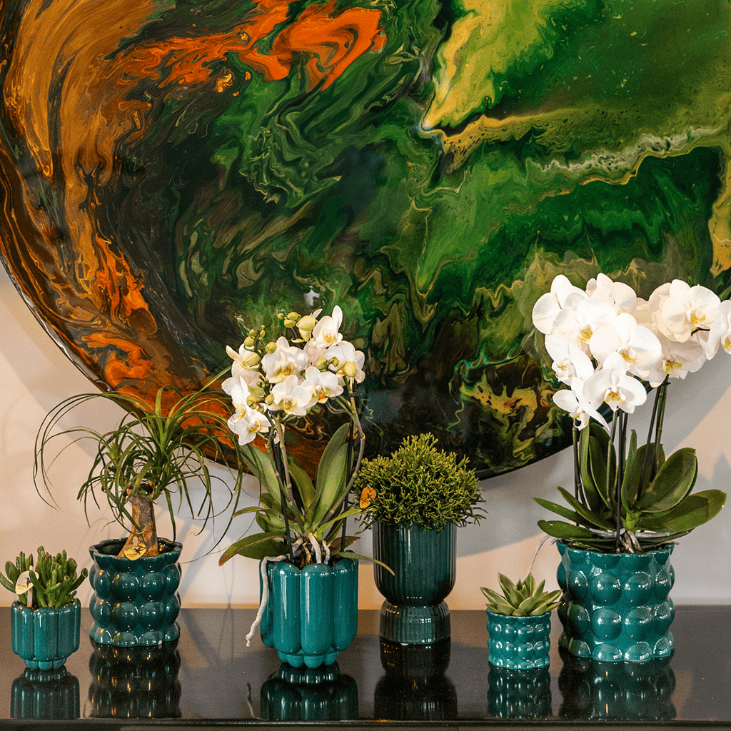 Ziertopf Diabolo – Grün – Ø9cm – Keramiktopf mit Rillenstruktur & abgerundetem Fuß – Blumentopf für Orchideen & Zimmerpflanzen – Plant