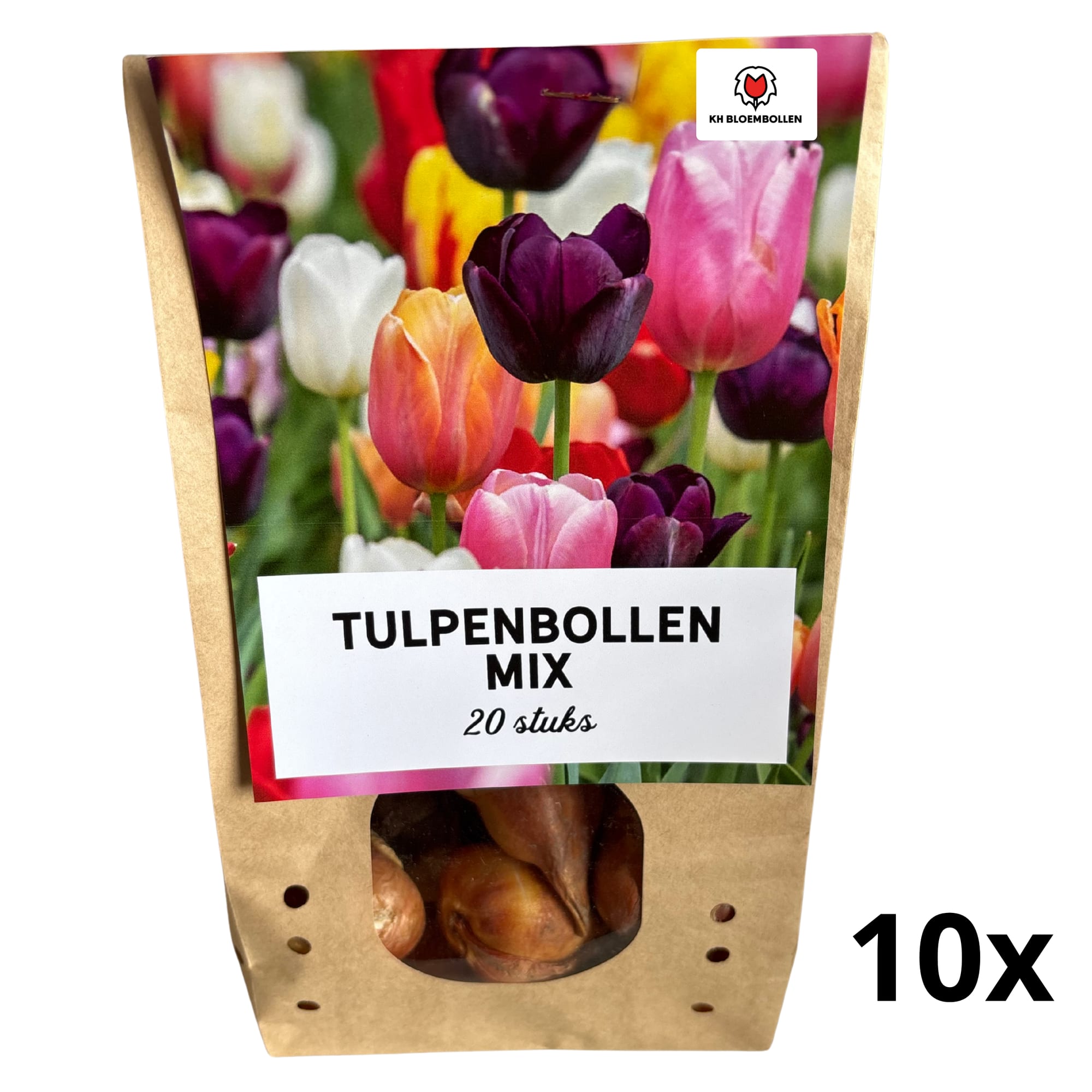 Tulpenzwiebel-Mix – 200 Tulpenzwiebeln (10 Beutel à 20 Stück) – Farbenfrohe Mischung in verschiedenen Sorten – Blumenzwiebeln Ideal für Garten, Beet & Topf – Frische Frühjahrspflanzung – Plant
