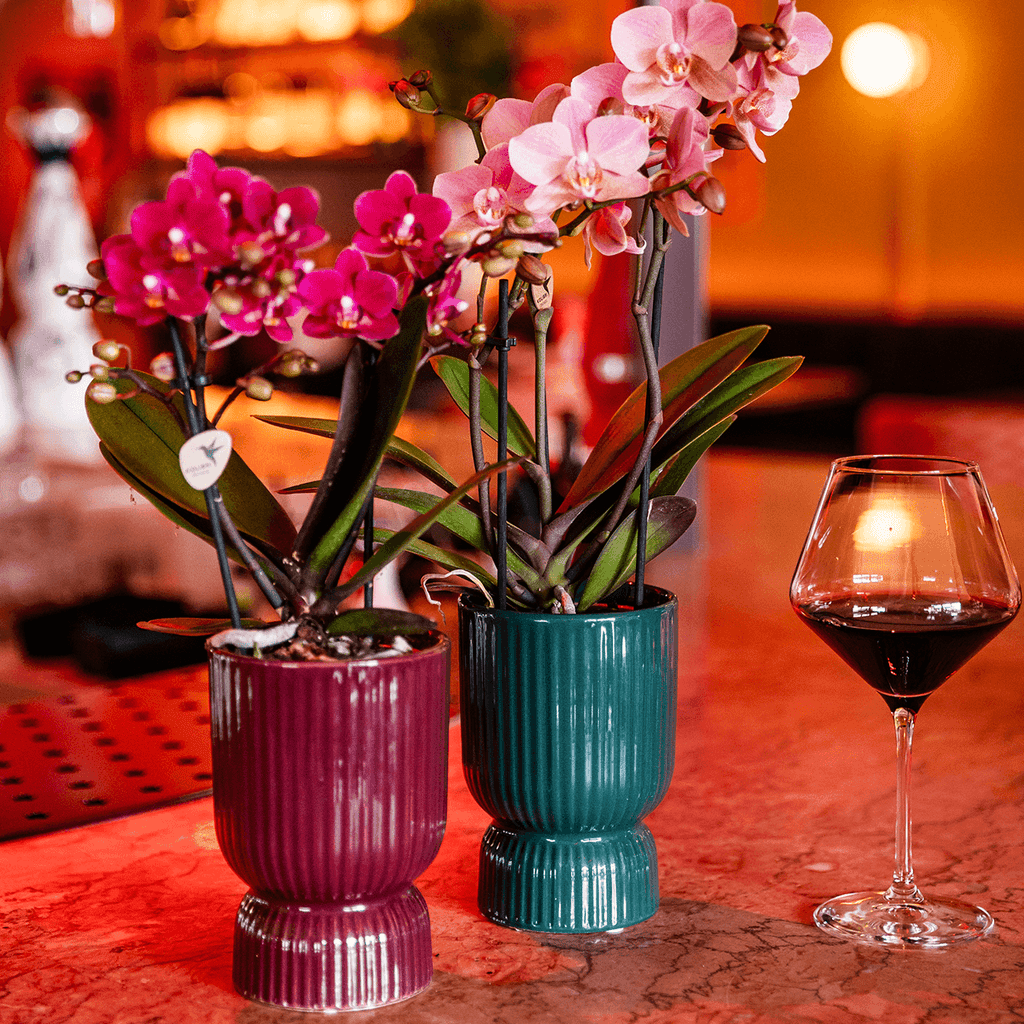Diabolo Ziertopf Ø9cm – Blumentopf in Burgundy – Keramik – Übertopf mit Rillenstruktur & glänzender Oberfläche – Plant