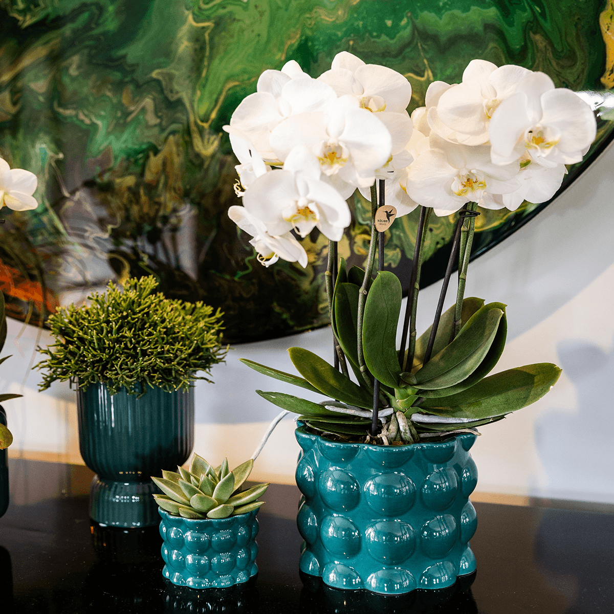 Ziertopf Diabolo – Grün – Ø9cm – Keramiktopf mit Rillenstruktur & abgerundetem Fuß – Blumentopf für Orchideen & Zimmerpflanzen – Plant