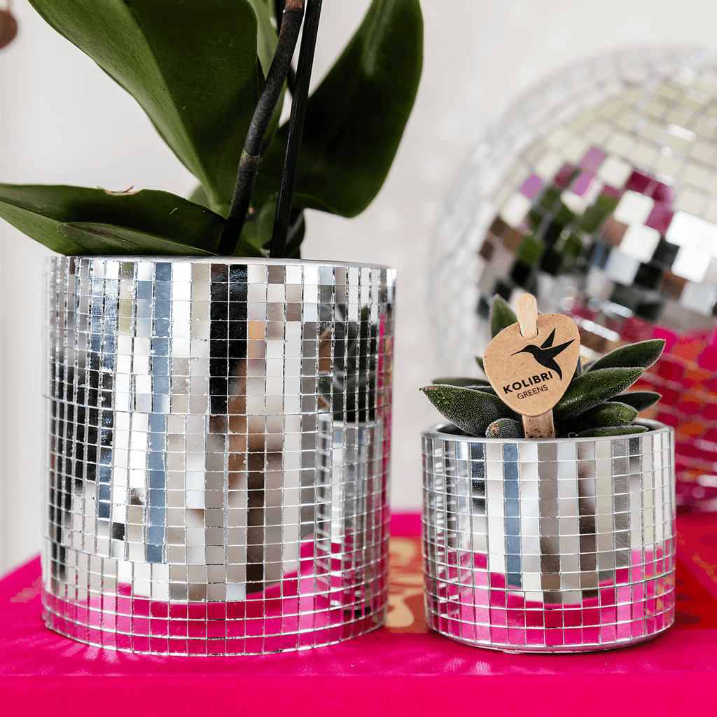 Blumentopf Disco – Ø6cm – Kleiner Keramik Ziertopf mit glänzender Struktur – Moderner Übertopf für Mini – Zimmerpflanzen, Sukkulenten & Kakteen – Plant