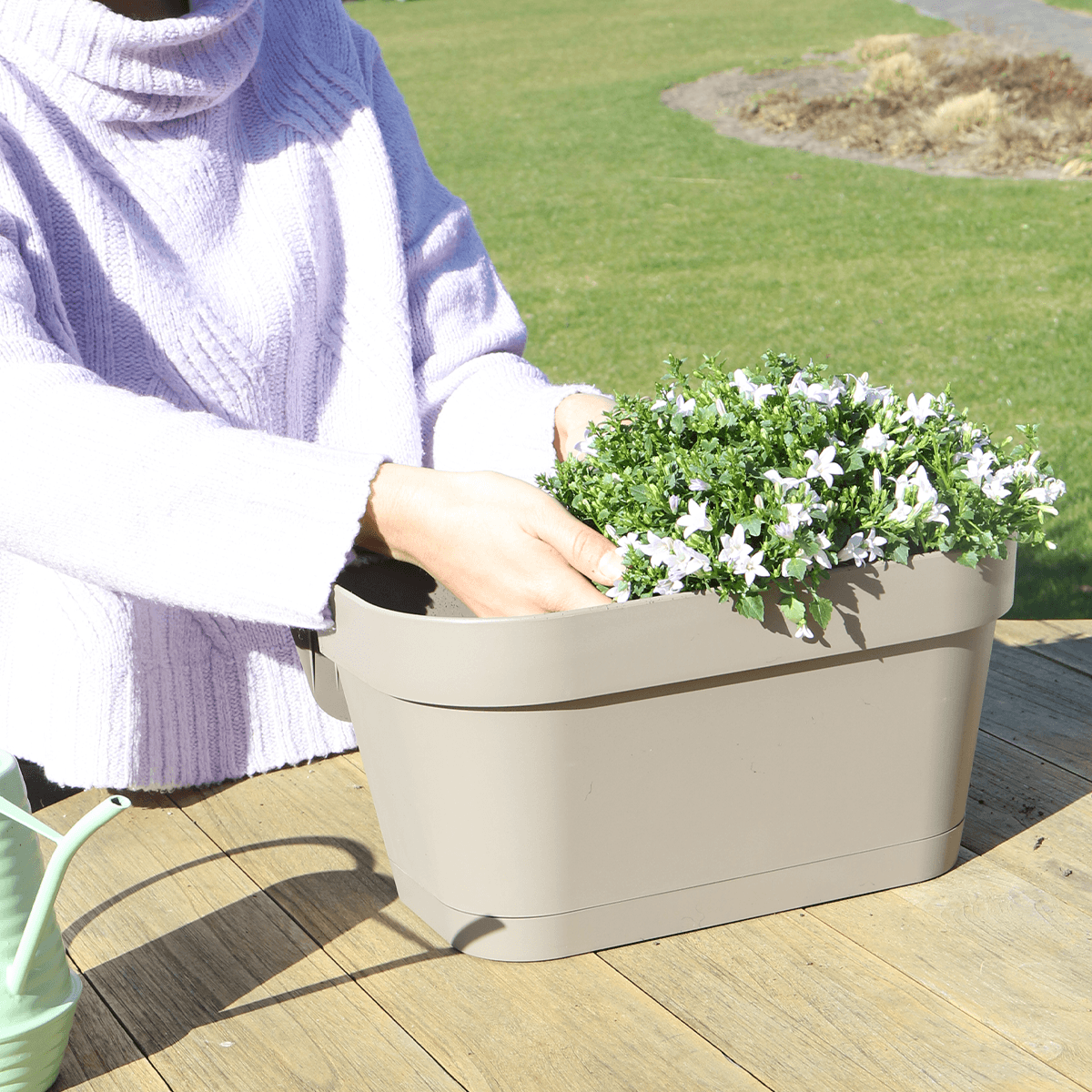 Campanula Addenda Ambella weiß 3er Set mit Balkonpflanzer taupe 36cm – Glockenblume weiß 12cm – inkl Aufhängesystem & Wasserreservoir – Plant