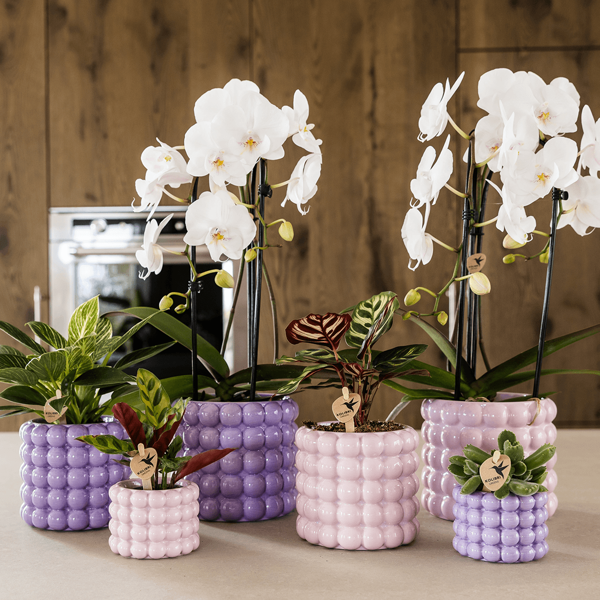 Ziertopf Poppy – Pink – Ø6cm – Kleiner Keramik Blumentopf in glänzendem Rosaton – Stilvoller Übertopf für Mini-Zimmerpflanzen, Sukkulenten & Kakteen – Plant
