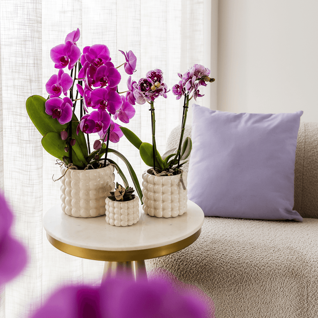 Poppy Ziertopf White – Blumentopf Ø12cm – Weißer Übertopf mit 3D Blasendesign – Moderner Pflanztopf glänzend für Zimmerpflanzen Kräuter & Deko – Pot