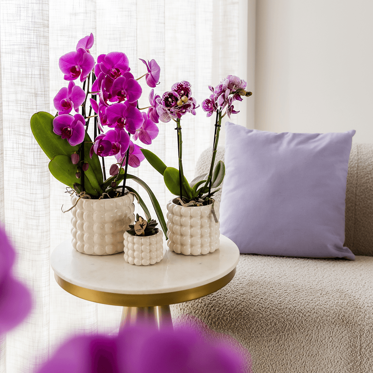 Poppy Ziertopf White – Blumentopf Ø12cm – Weißer Übertopf mit 3D Blasendesign – Moderner Pflanztopf glänzend für Zimmerpflanzen Kräuter & Deko – Pot
