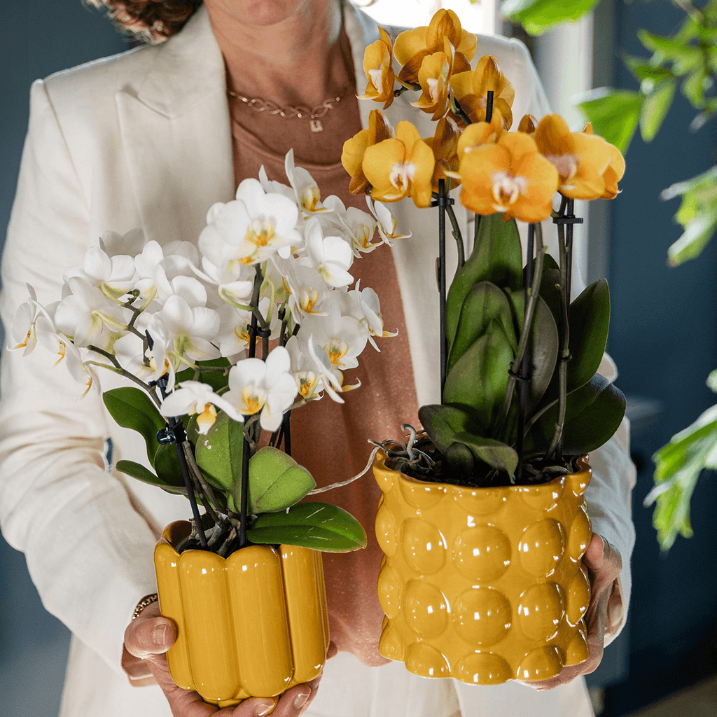 Übertopf Retro Shine gelb Ø9cm – Blumentopf mit Blasenrelief – hochglänzender Retro – Übertopf im 70er – Design – Pot